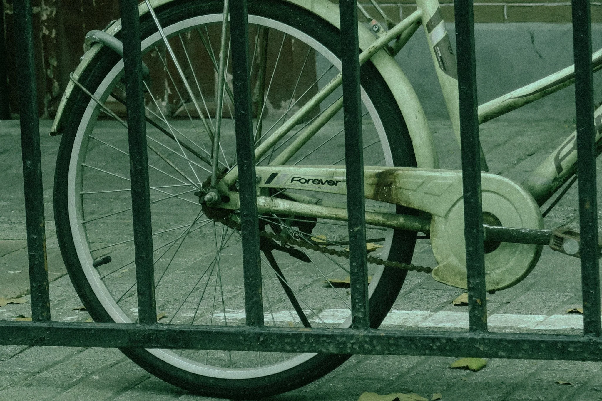 2025 HG Taiwan Canon G7x -01.jpg