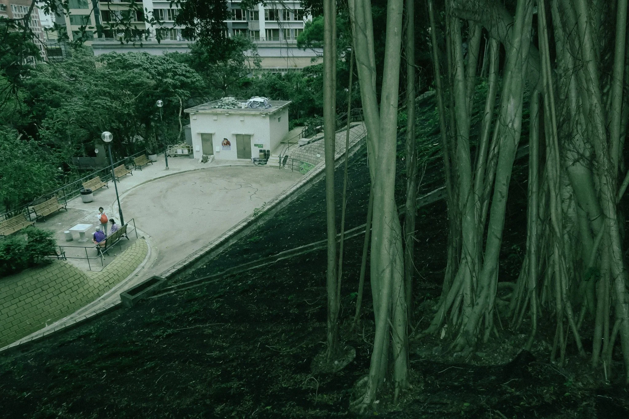 2025 HG Taiwan Canon G7x -13.jpg