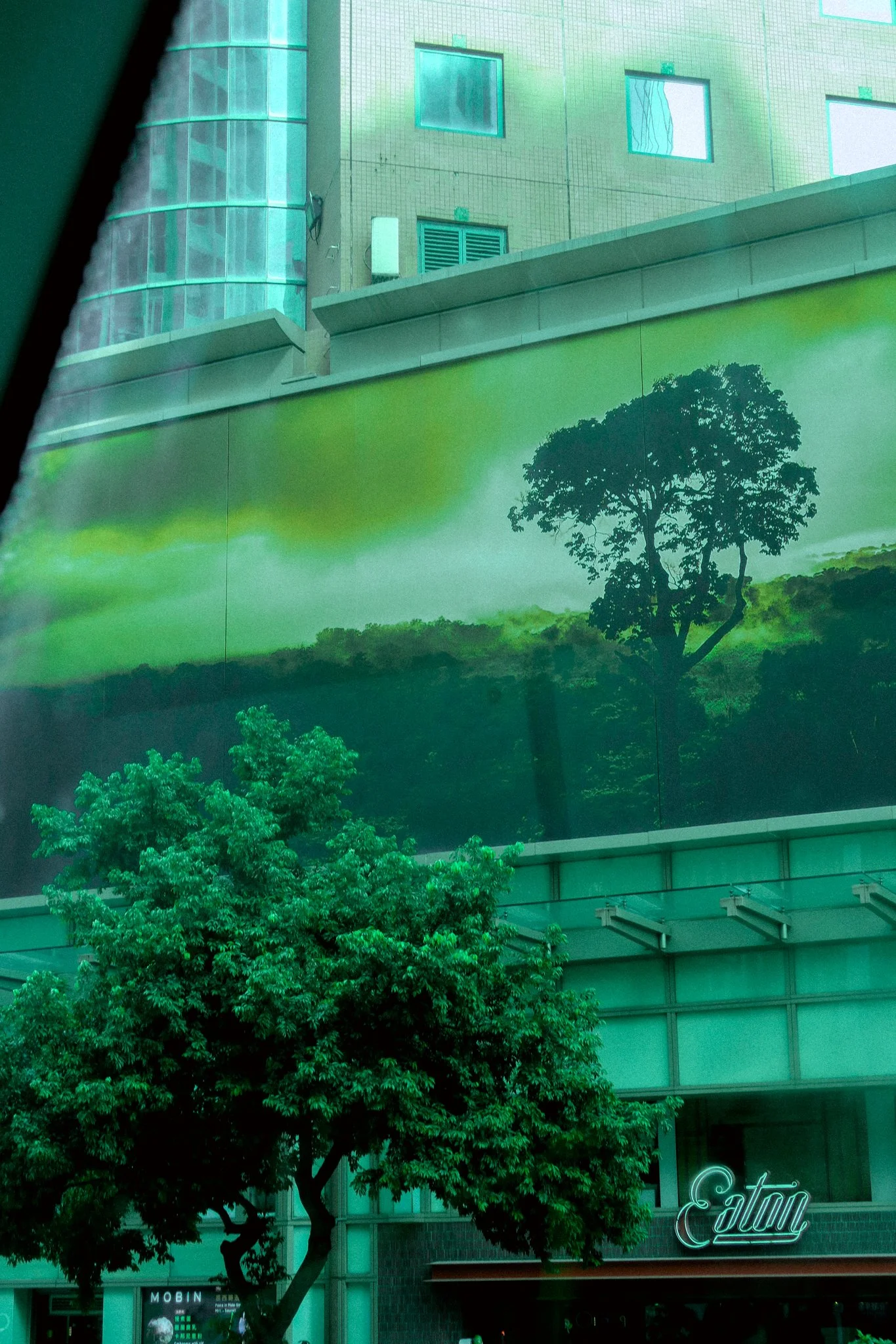 2025 HG Taiwan Canon G7x -27.jpg