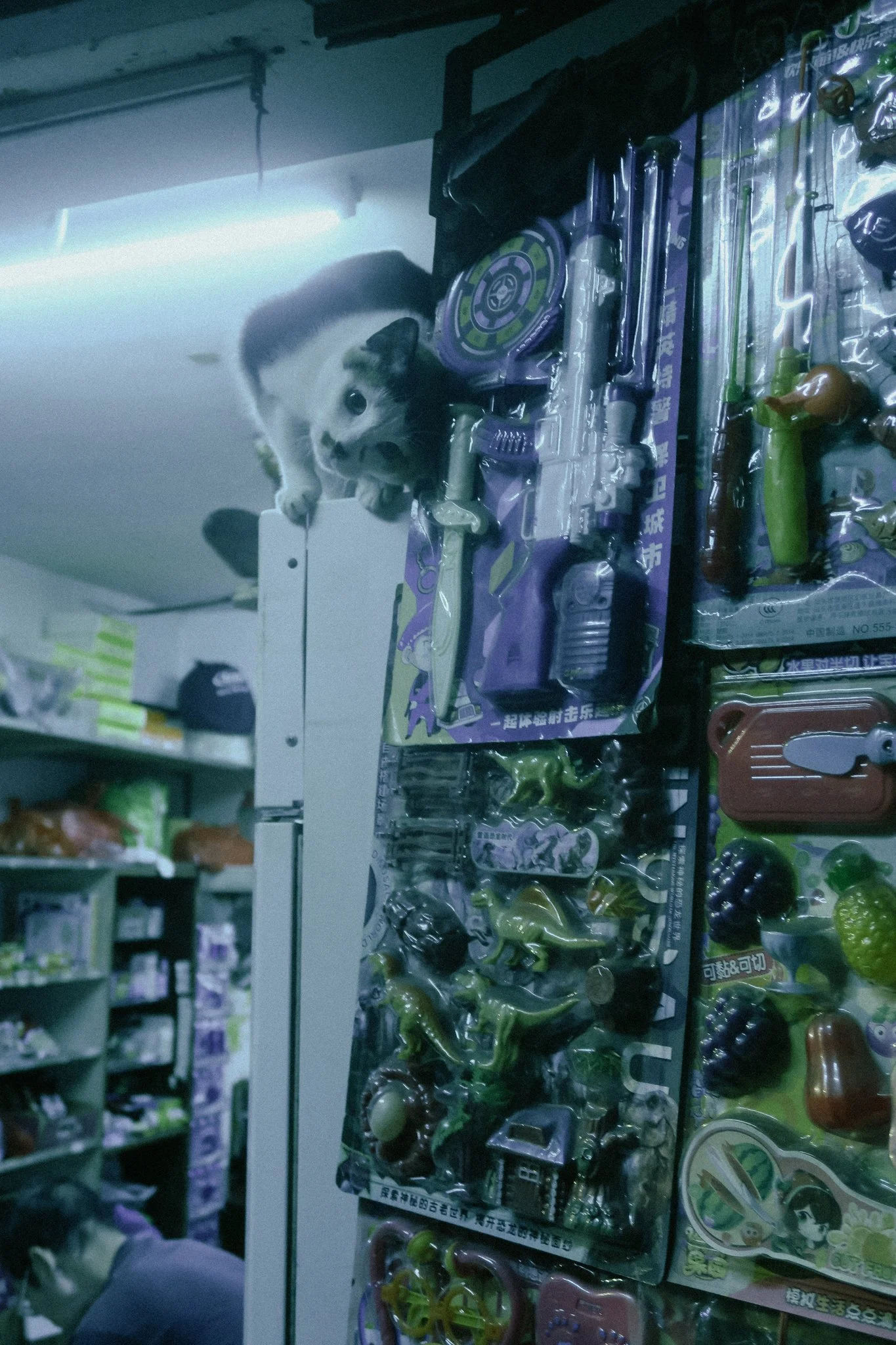 2025 HG Taiwan Canon G7x -33.jpg