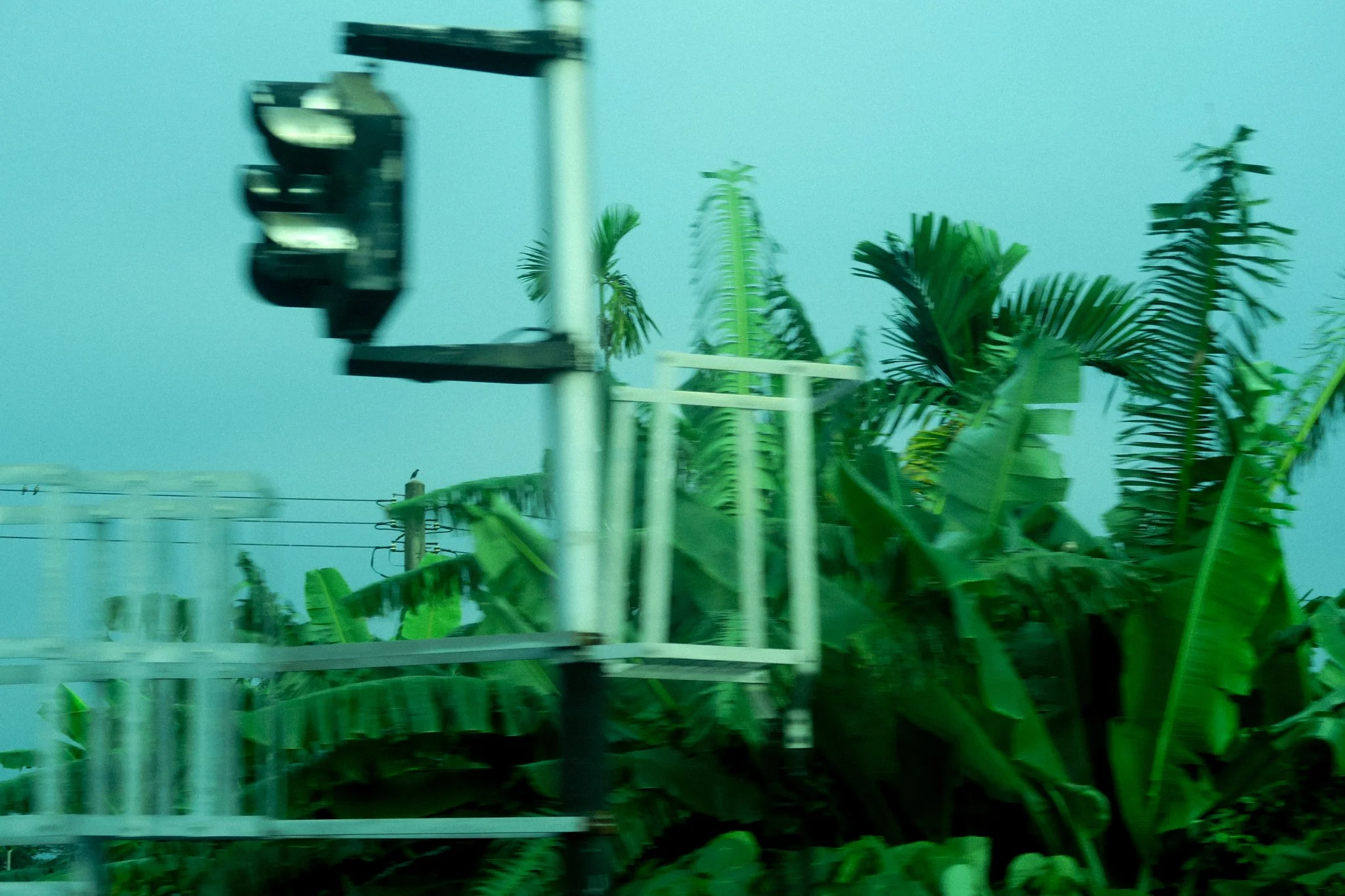 2025 HG Taiwan Canon G7x -40.jpg