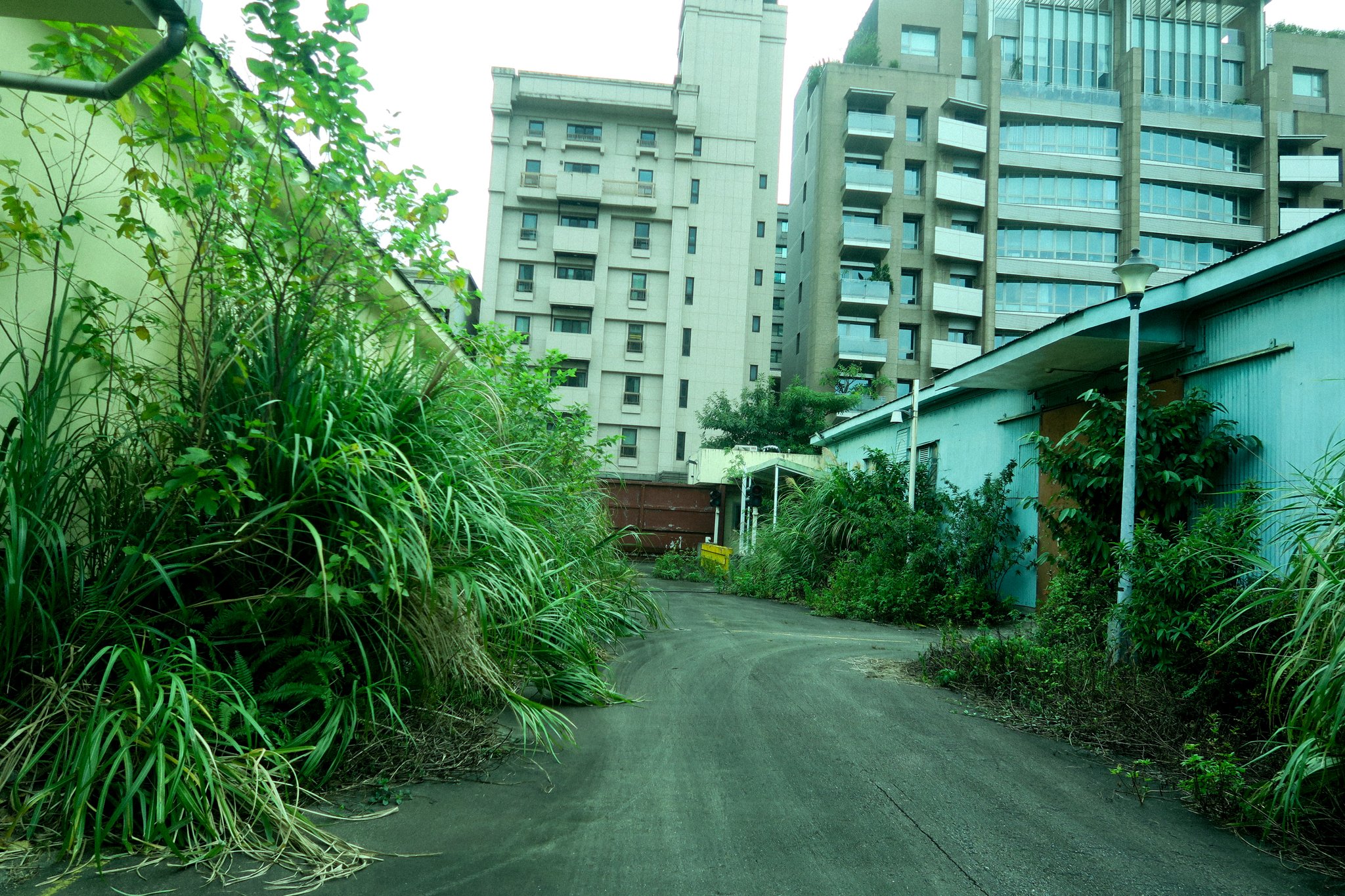 2025 HG Taiwan Canon G7x -72.jpg