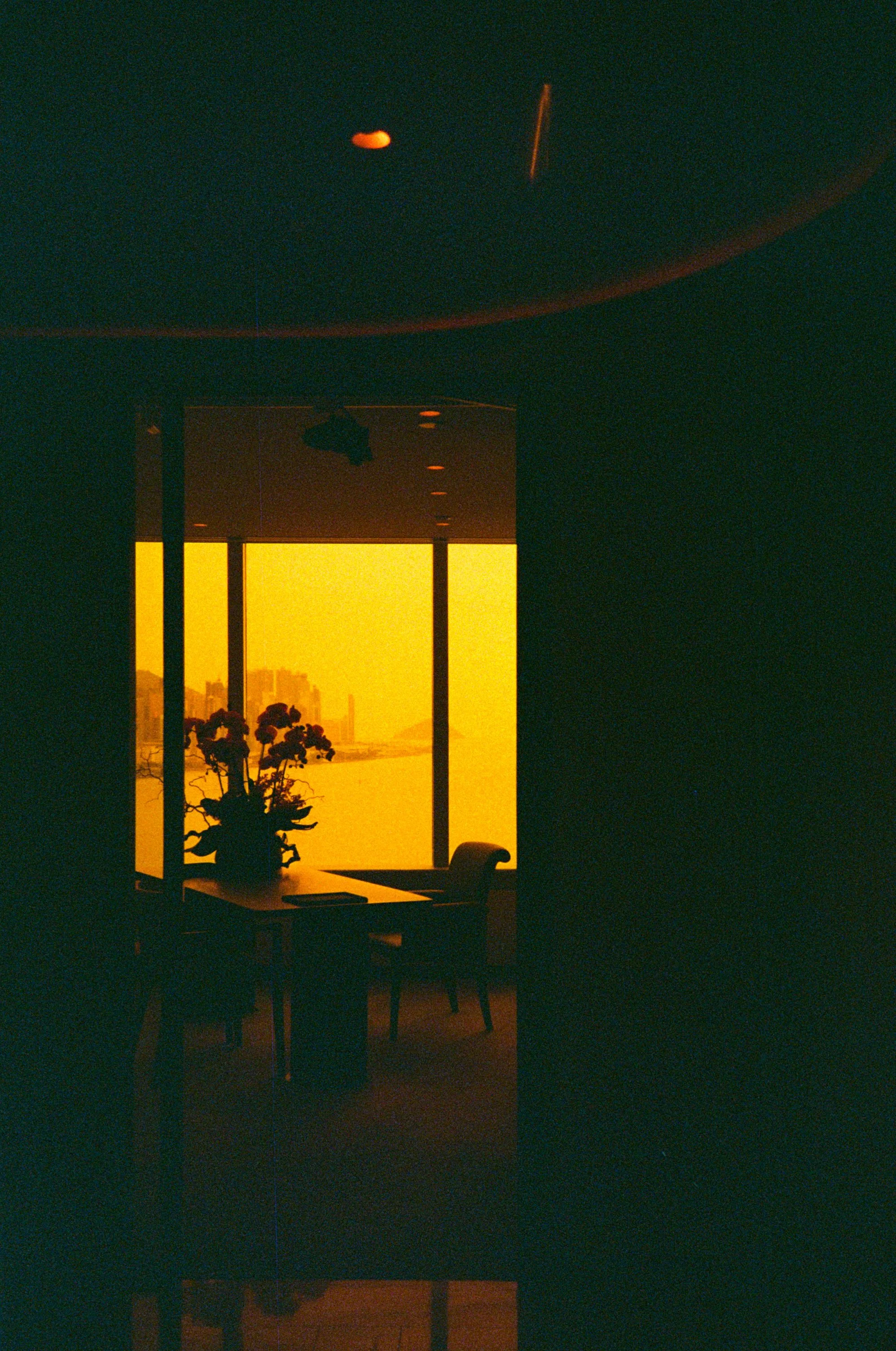 Redscale Film 2026 -19.jpg