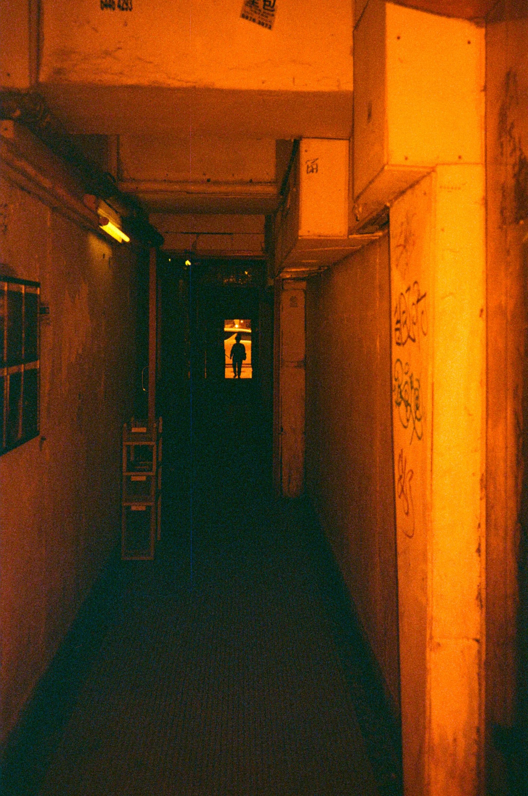 Redscale Film 2026 -23.jpg