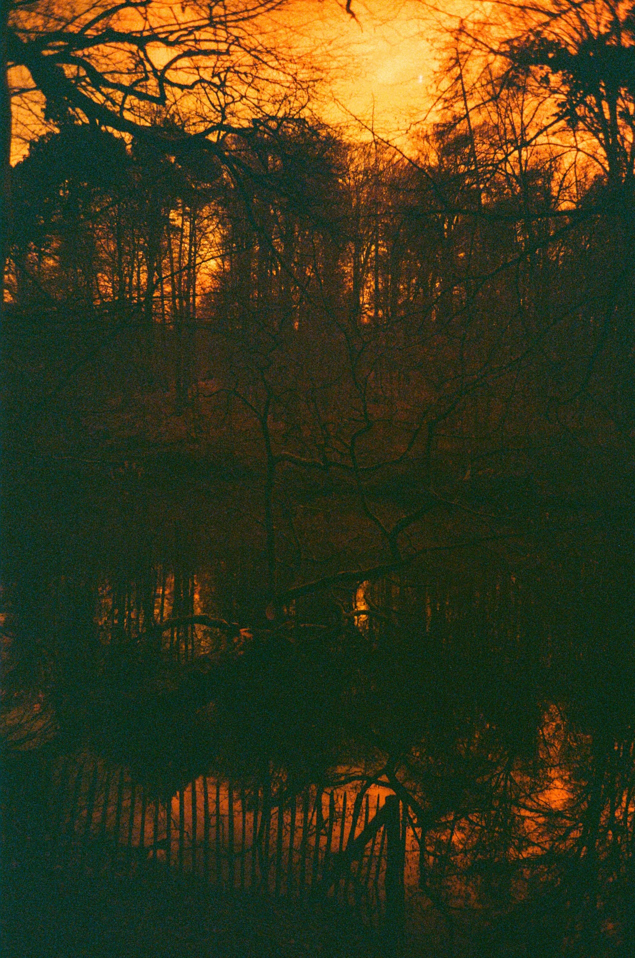 Redscale Film 2026 -34.jpg