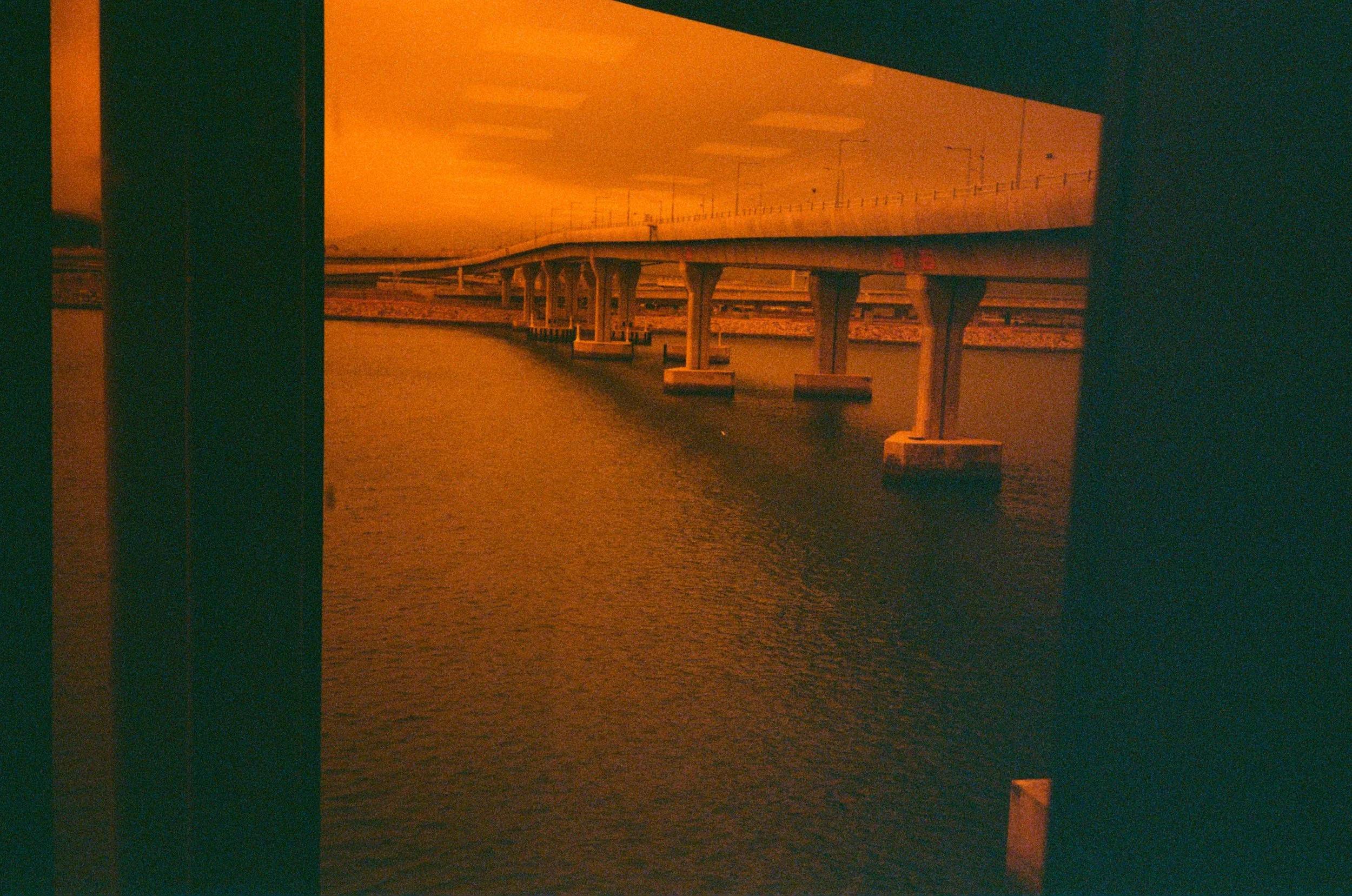 Redscale Film 2026 -31.jpg