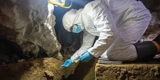 hakai institute.jpeg