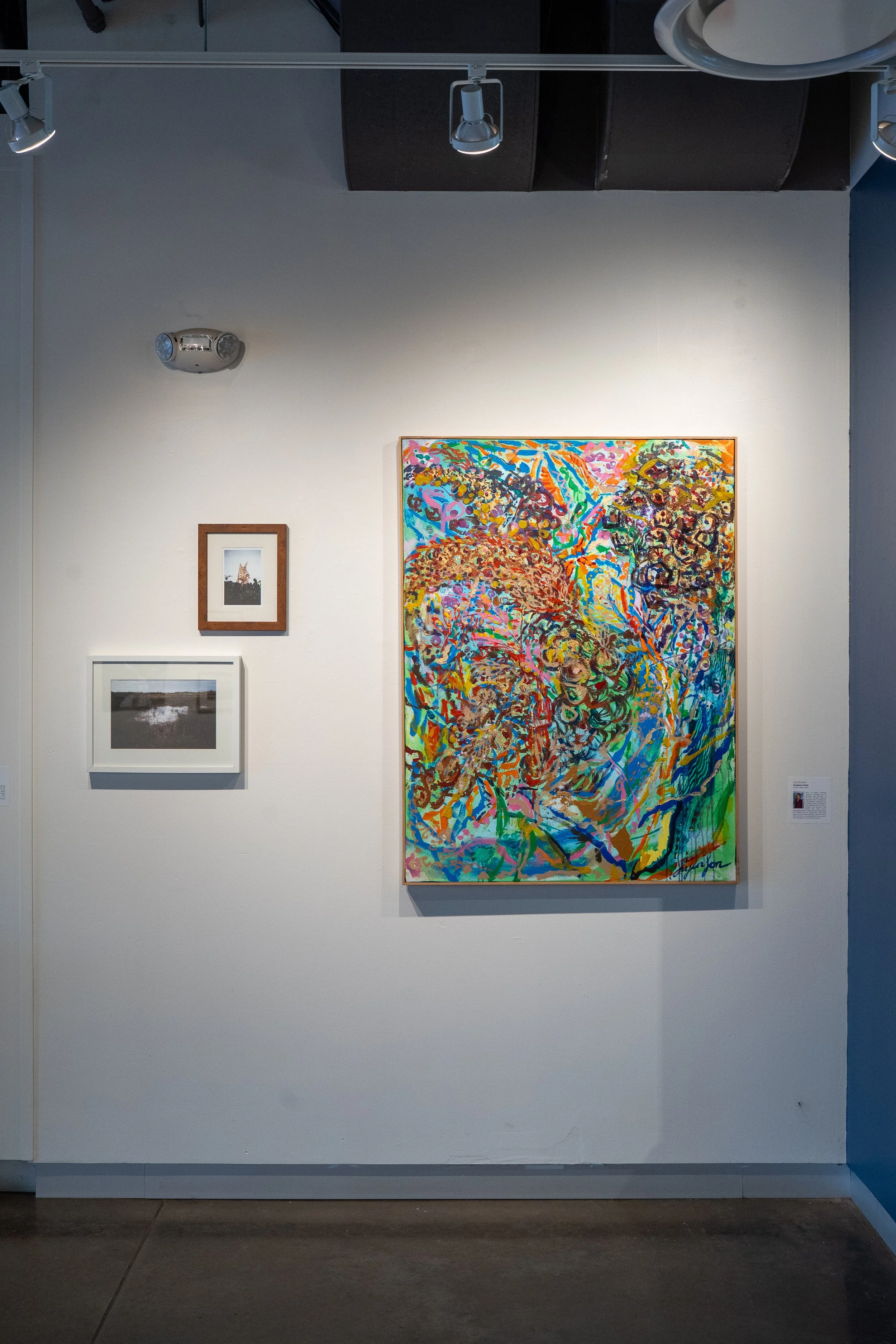 showcase26_gallery_install-22.jpg