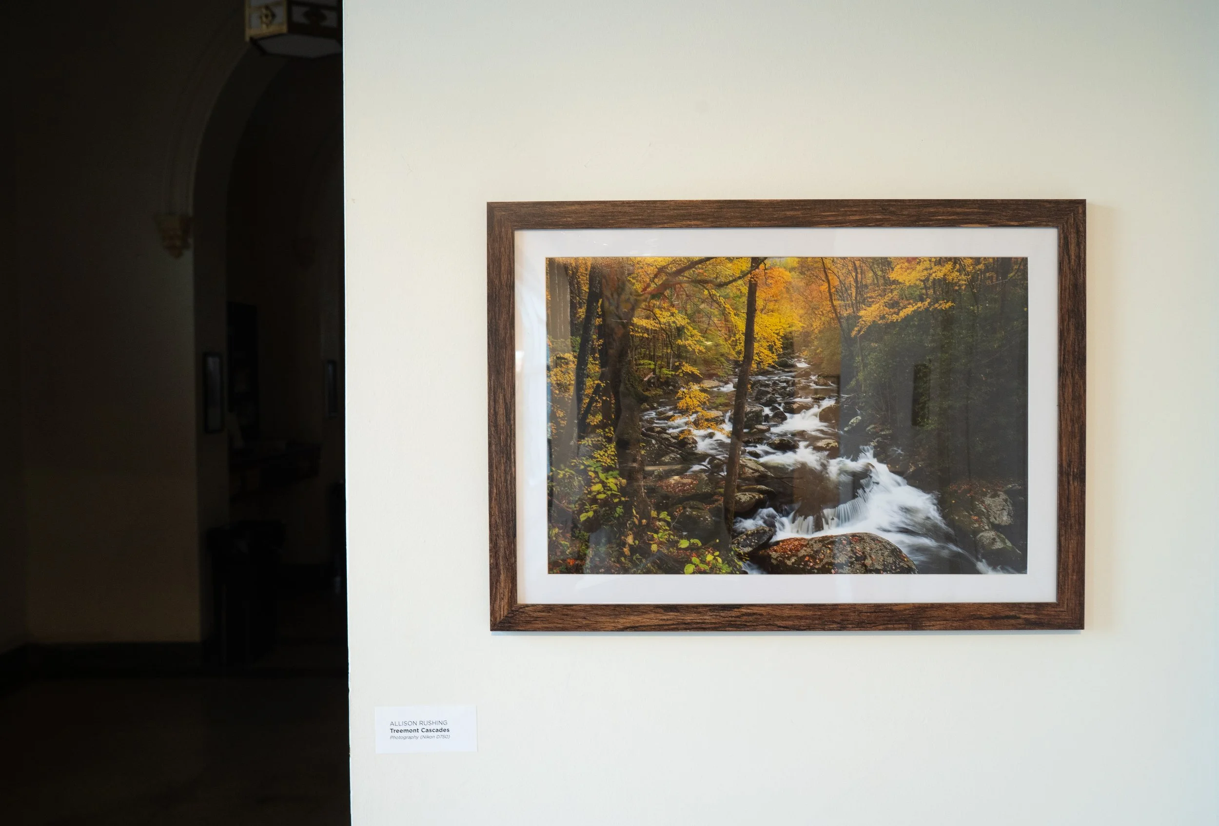 showcase26_gallery_install-05.jpg
