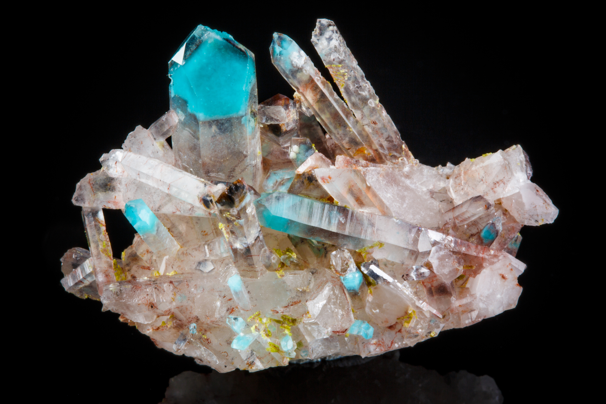 Ten Year Anniversary Party