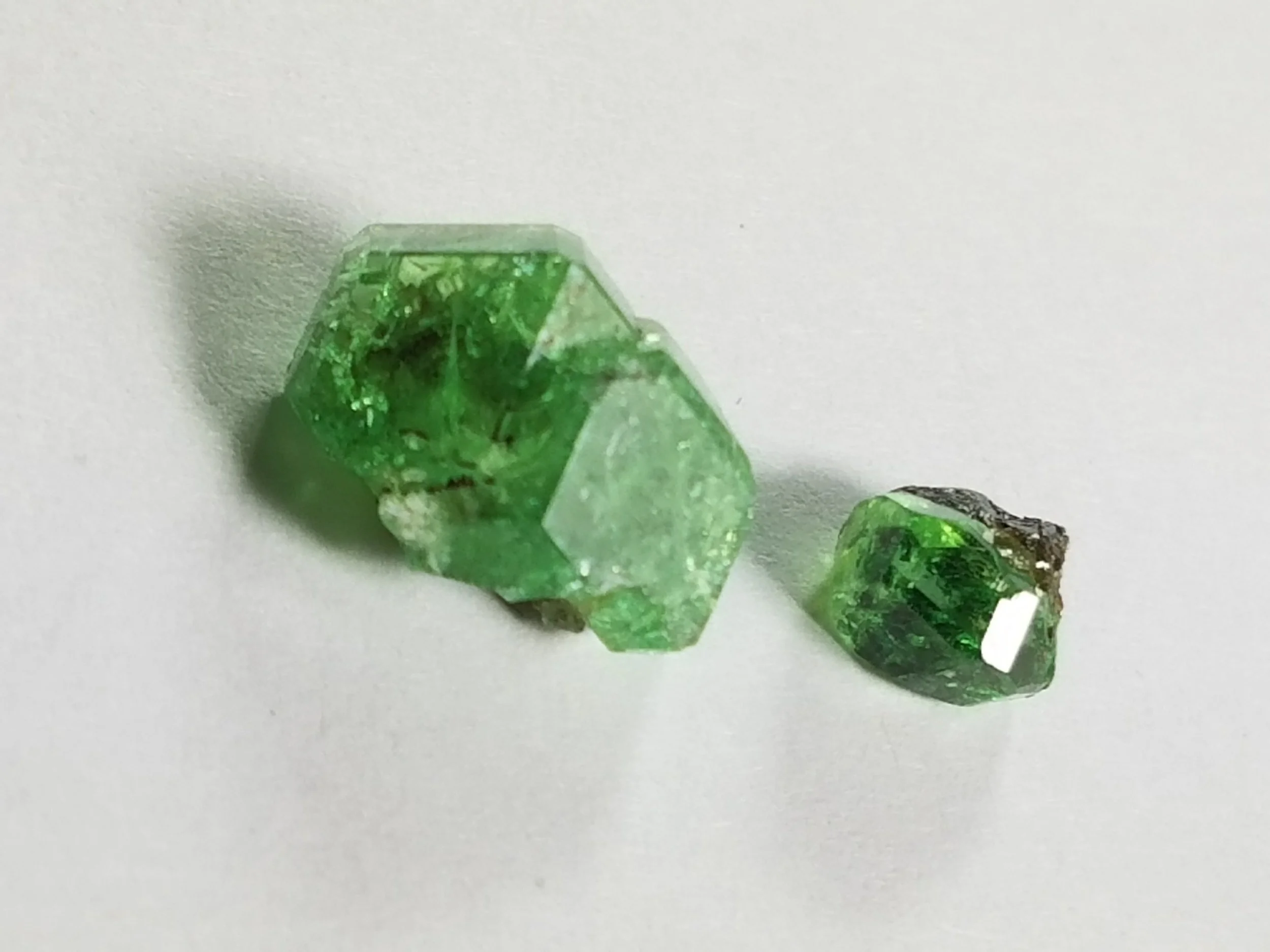 20170406_151927.jpg