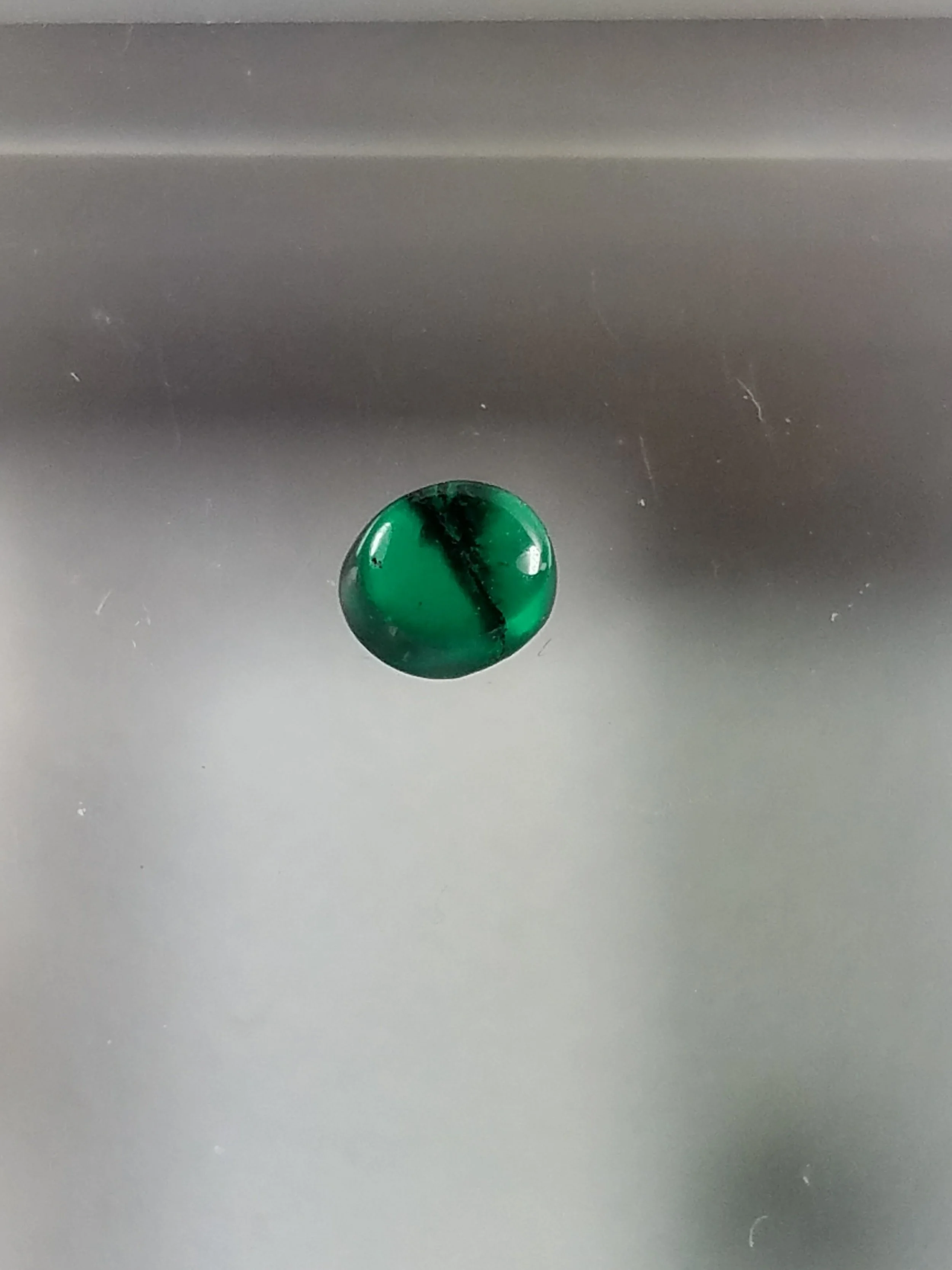 20170406_152105.jpg