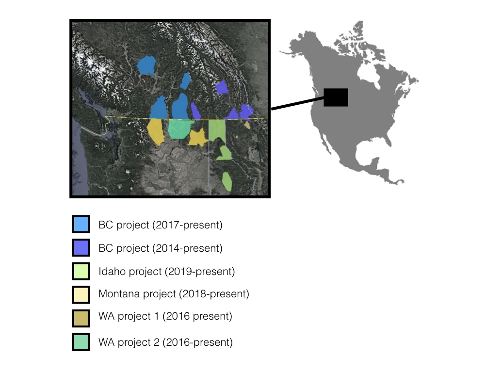 The study area includes multiple states and provinces, allowing us to study community dynamics of large mammals across large landscape gradients