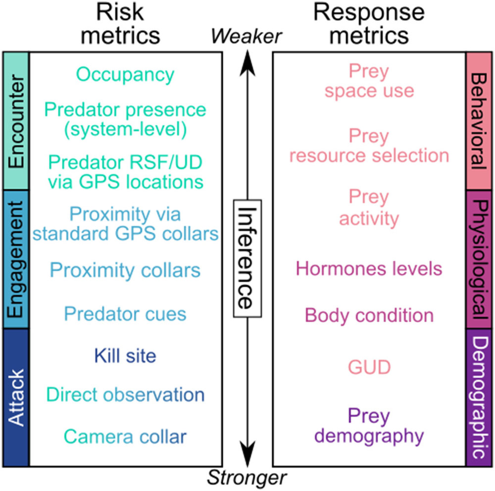  Fig. 1.&nbsp;Examples of common metrics used to assess&nbsp; predation &nbsp;risk (left side) and responses of prey to risk (right side, also referred to as risk effects). Risk metrics are classified according to the stage of the predation process t