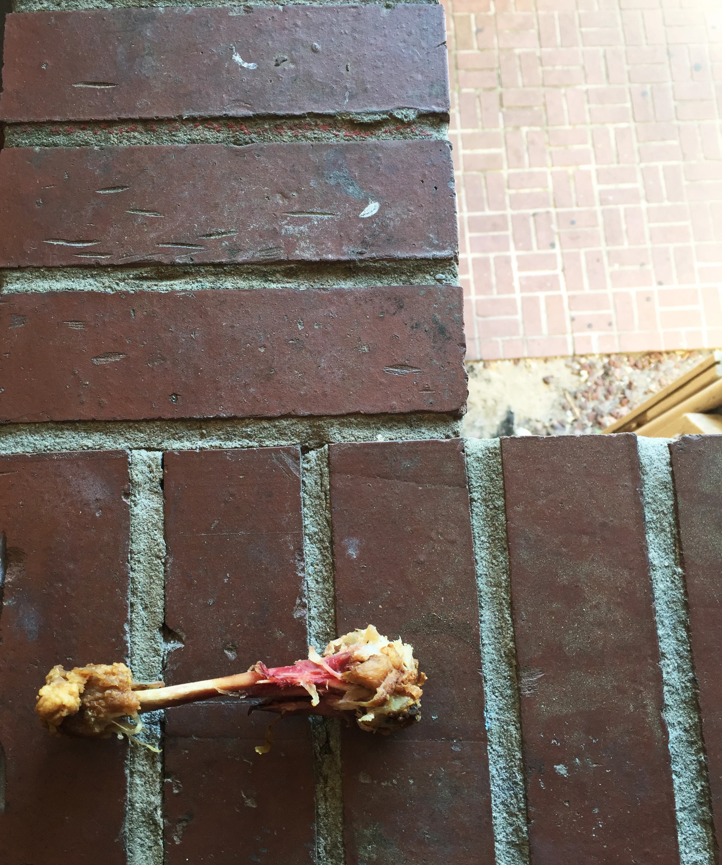 chickenwing3.jpg