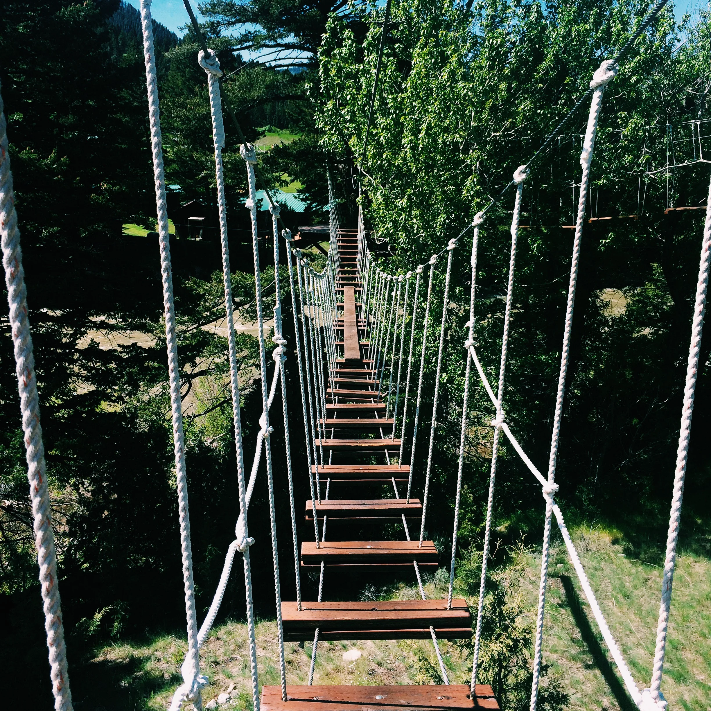 One of the easier bridges. Sticking your tongue out helps concentration.
