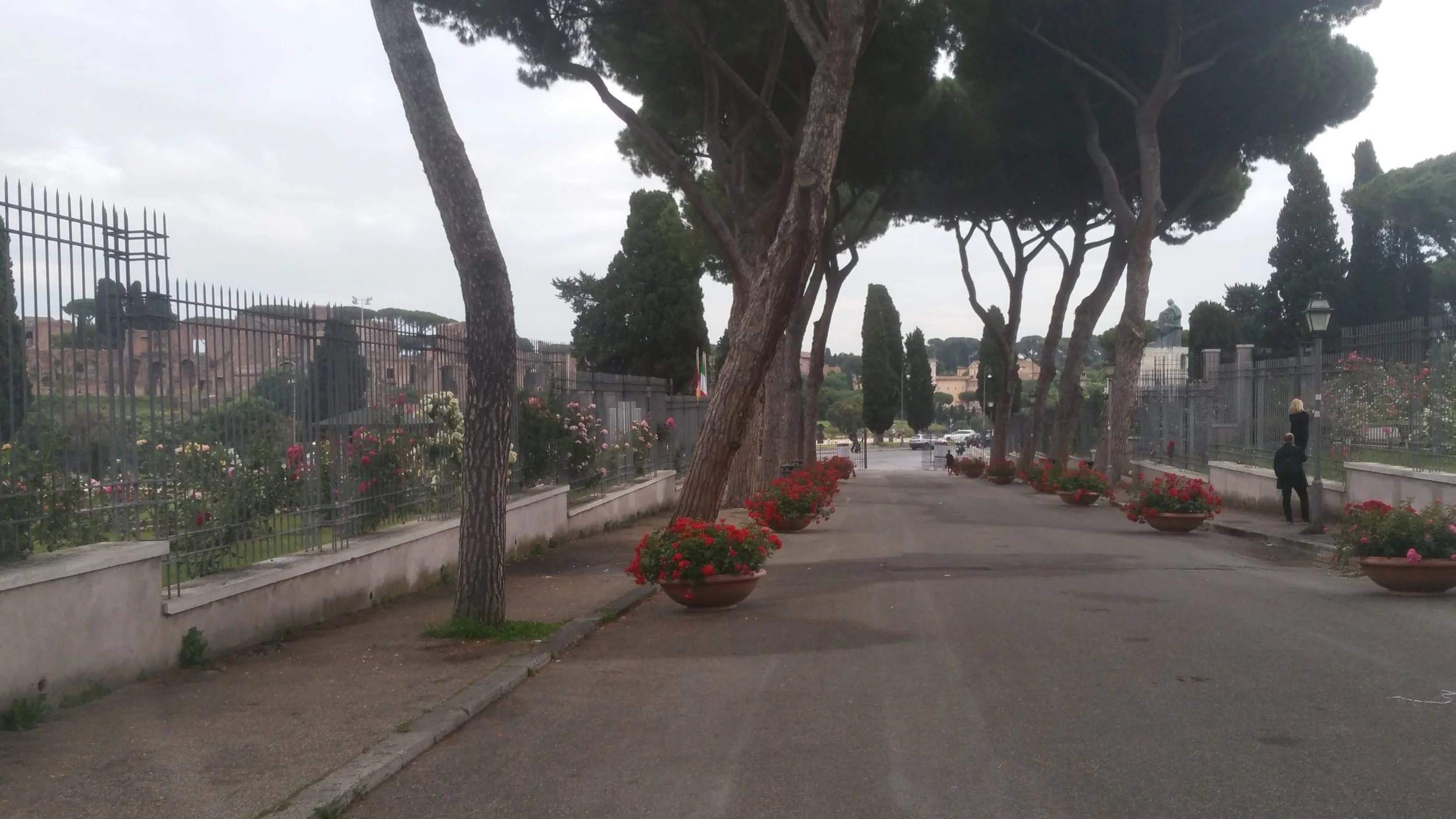 Garden in Rome, Italy