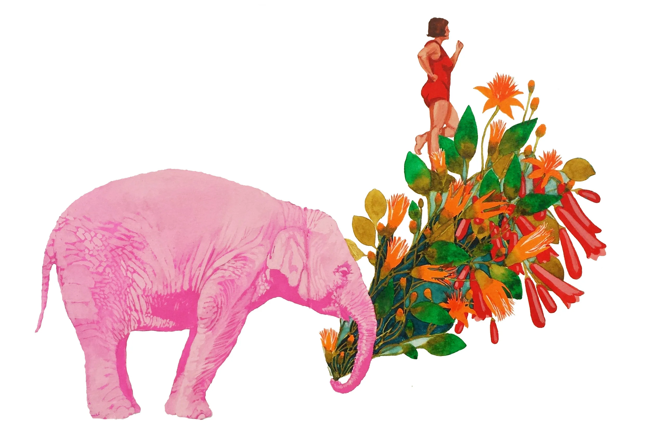 pinkelephant_edit.jpg