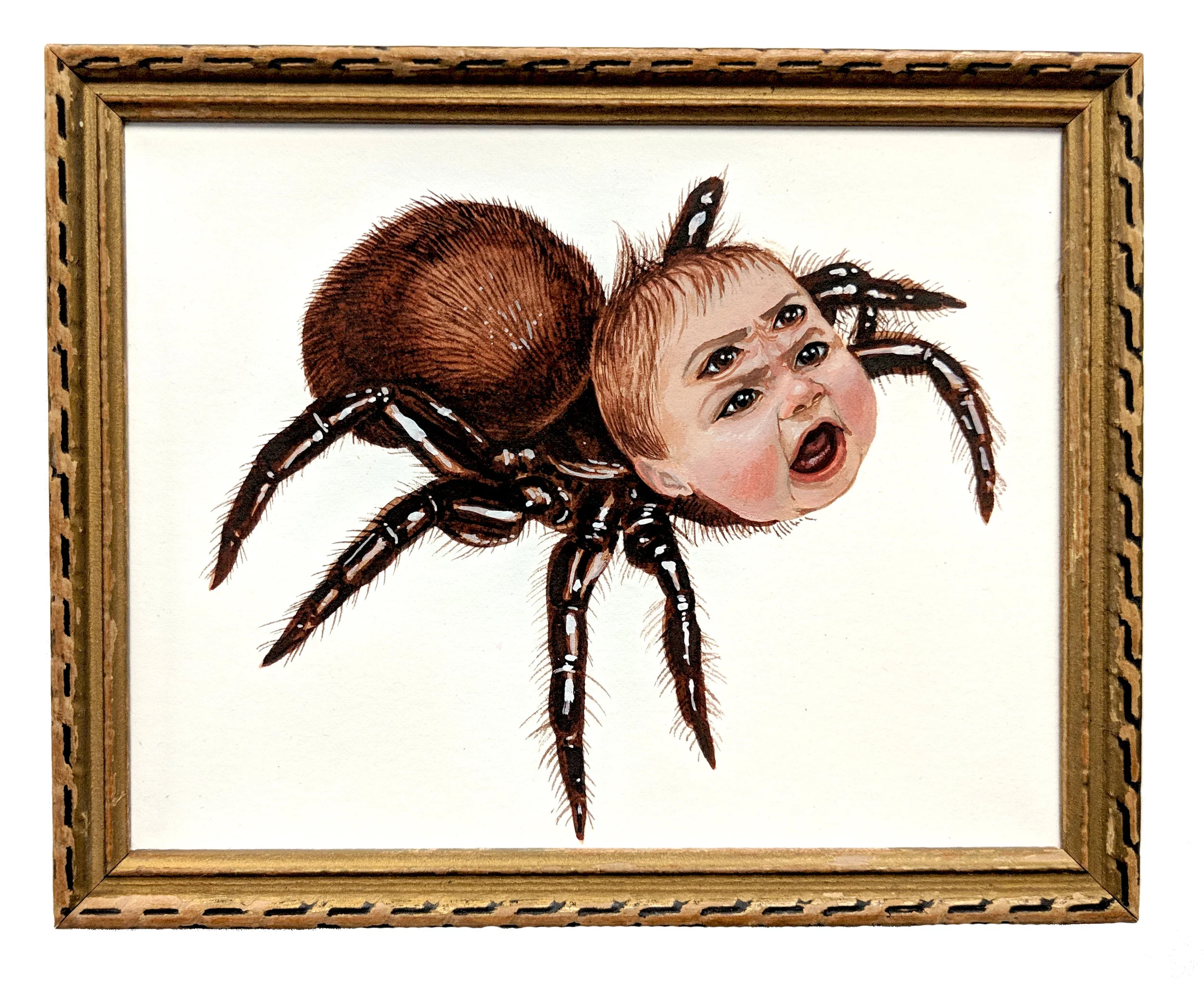 spider_baby.jpg