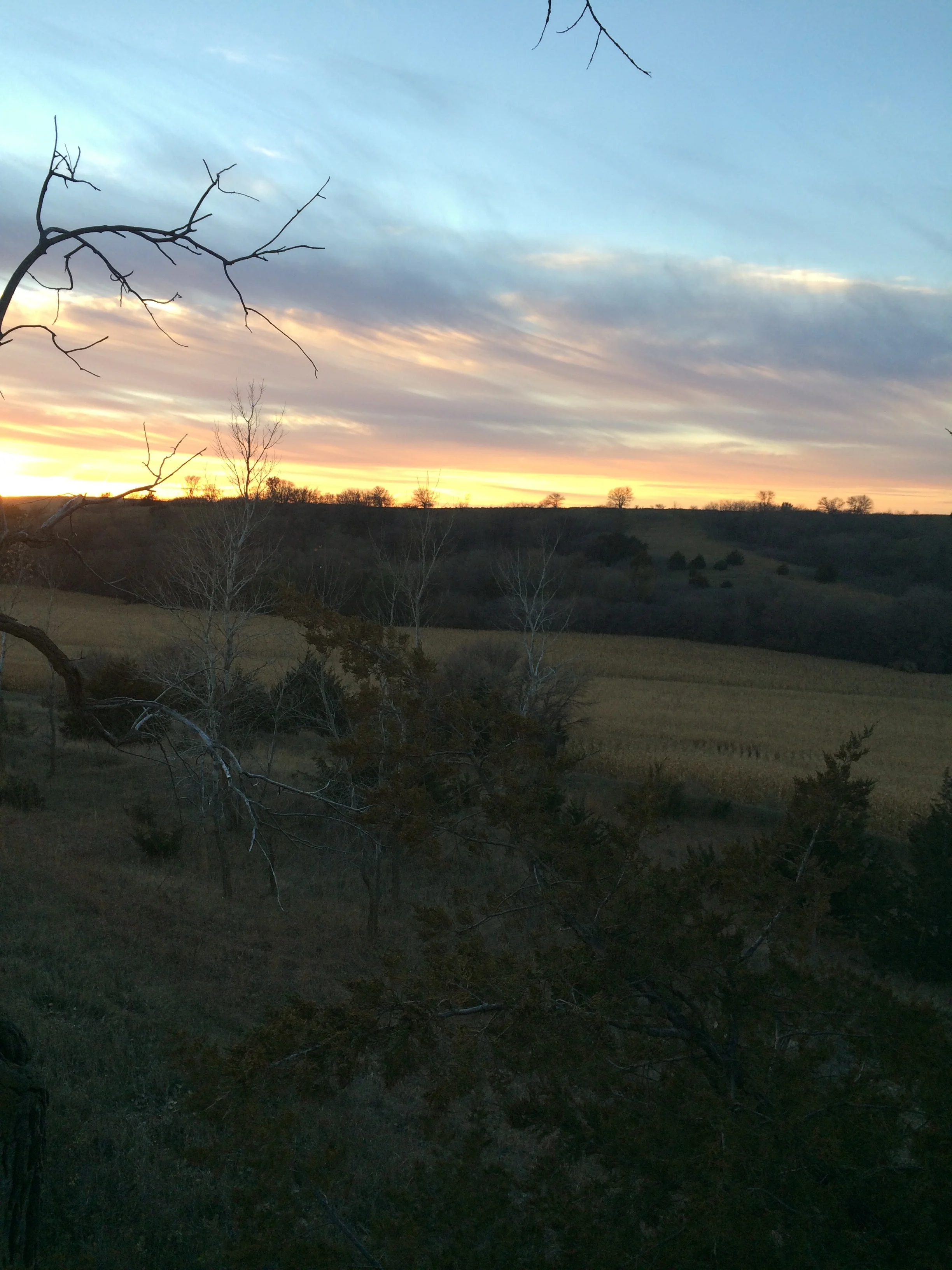 IMG_0566.JPG