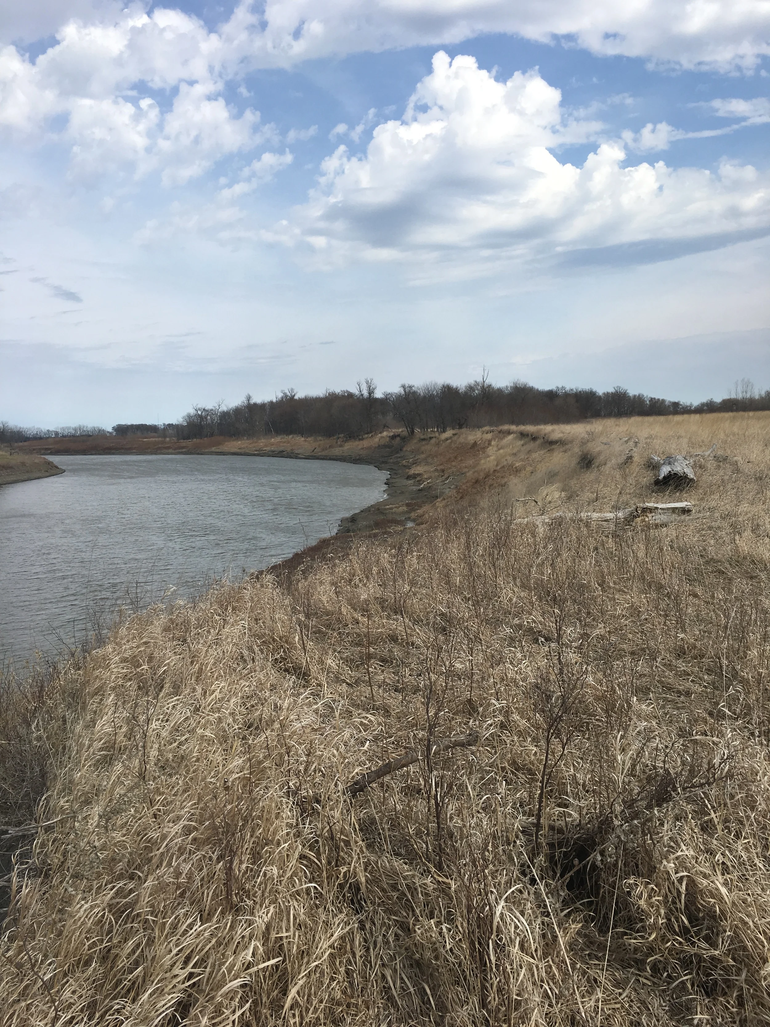 Failure: The Great Success