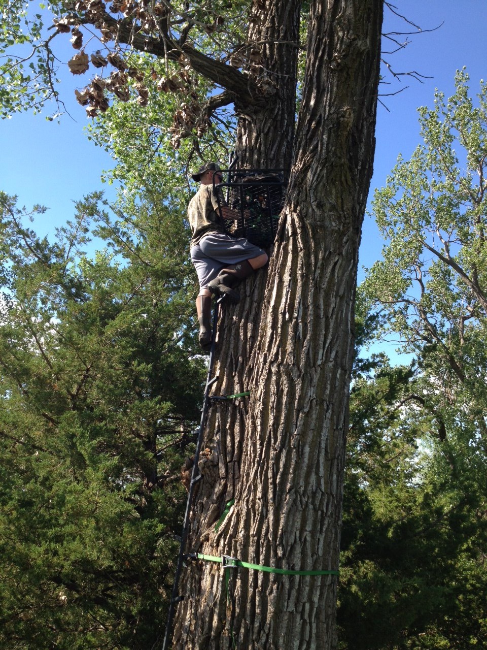We dedicated two full days to setting up stands, knowing that we would be hunting the rut.