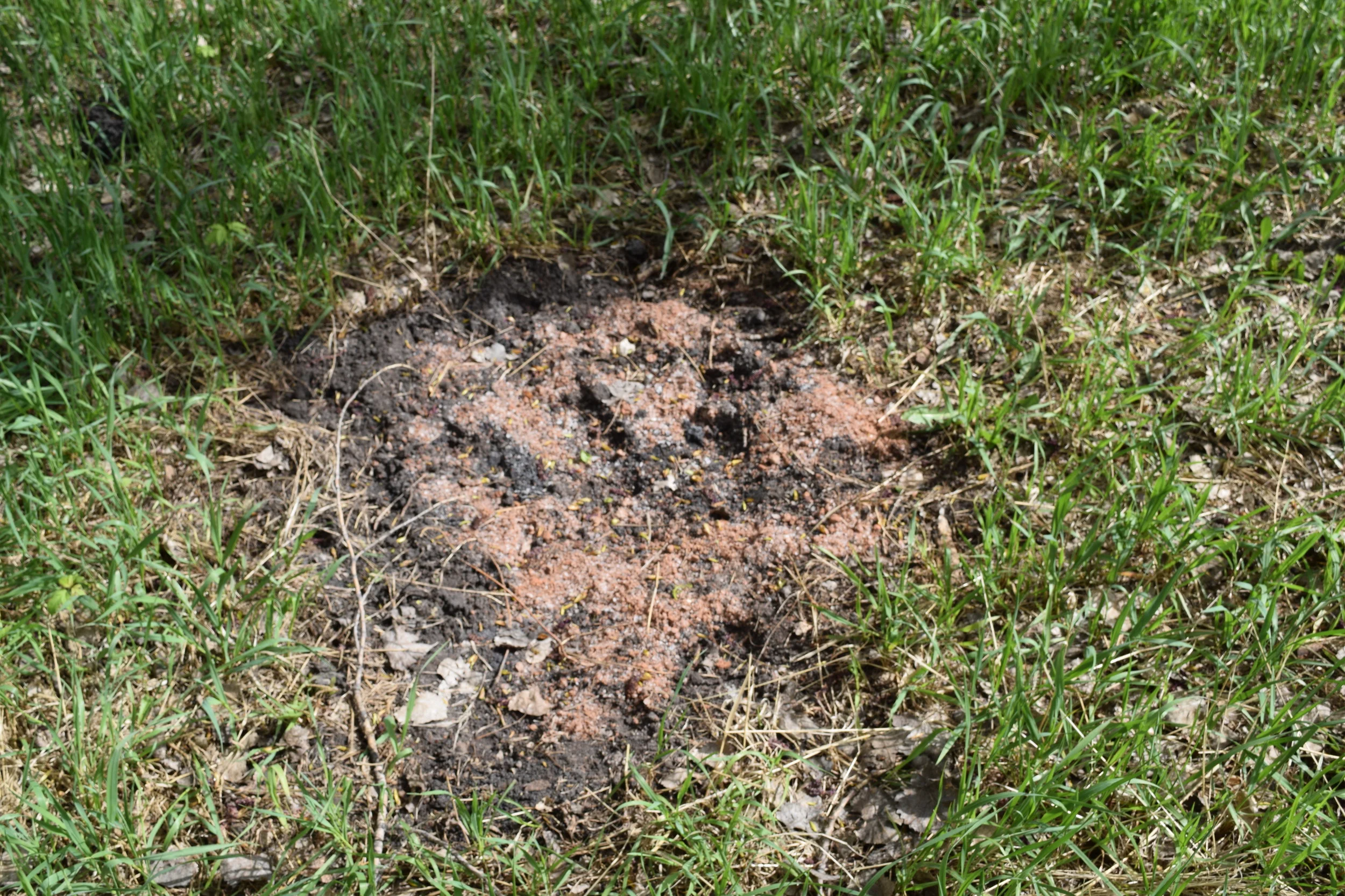 A newly created mineral site. 
