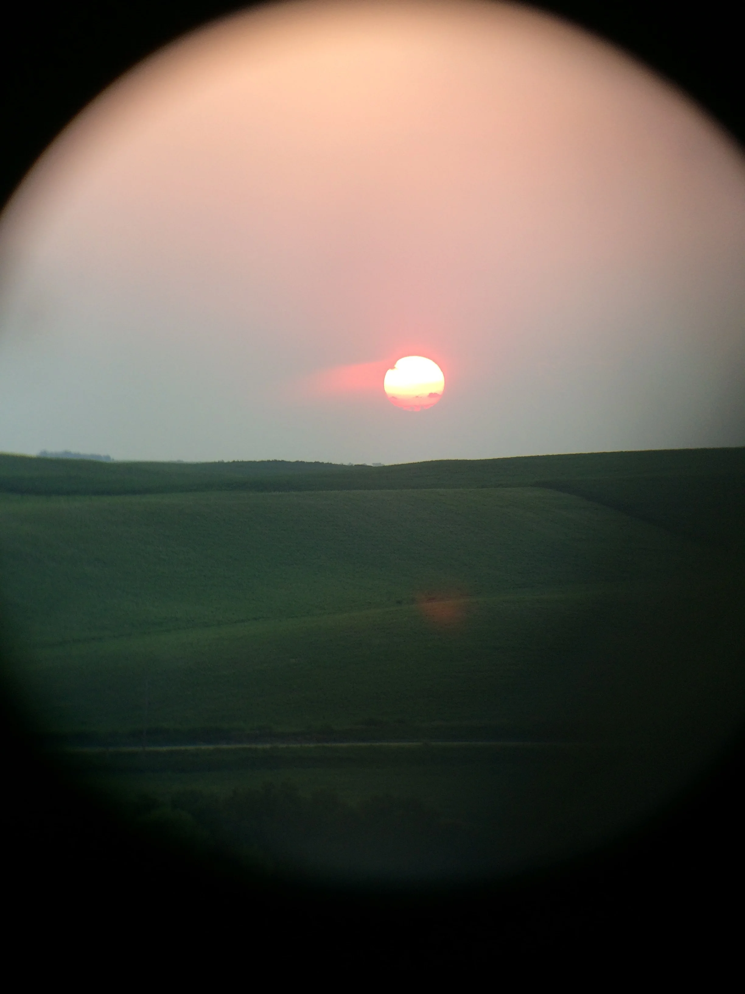 A beautiful Nebraska sunset, while watching a bean field. 