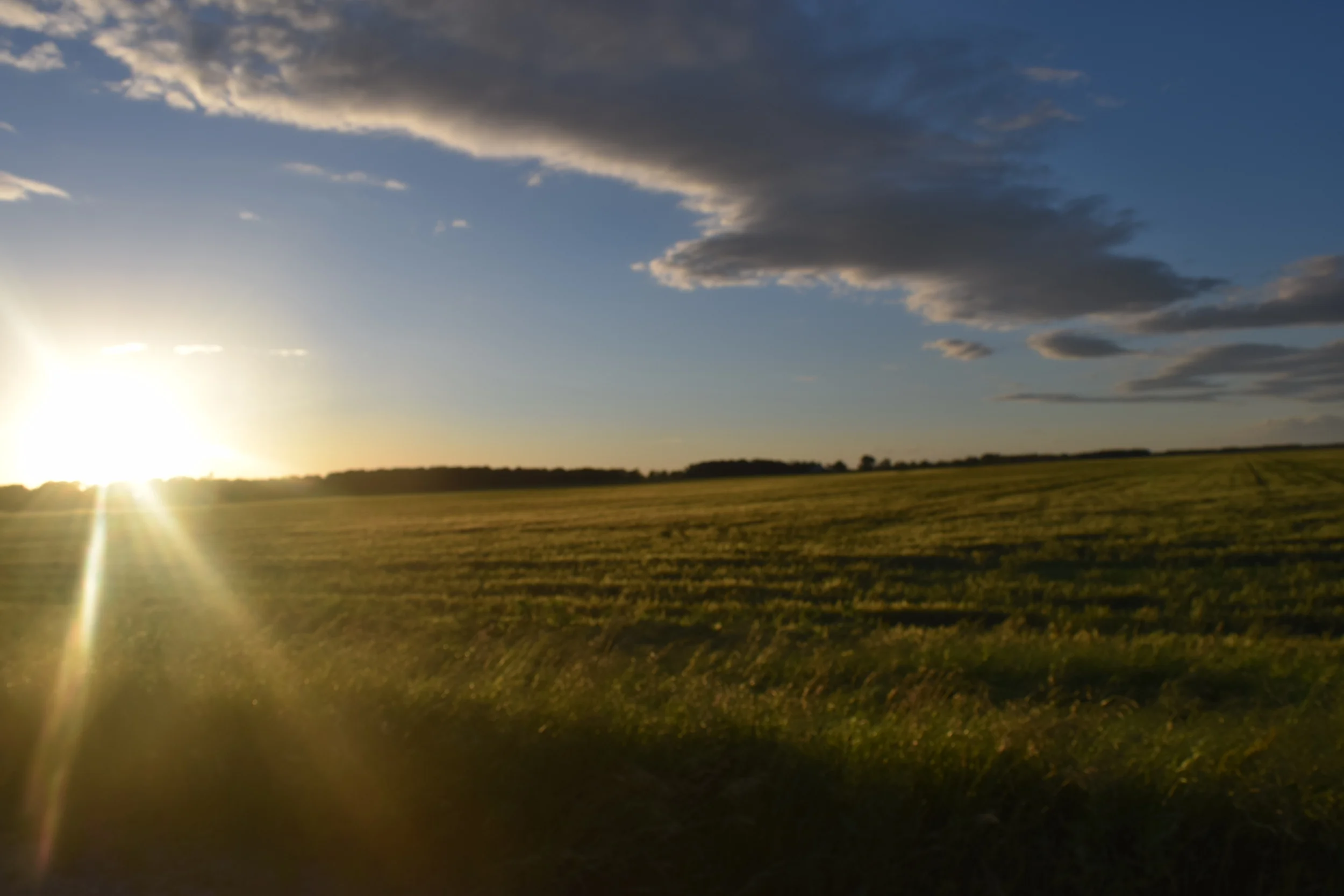 New And Improved Hunting Spots | How To Find Them Right Now