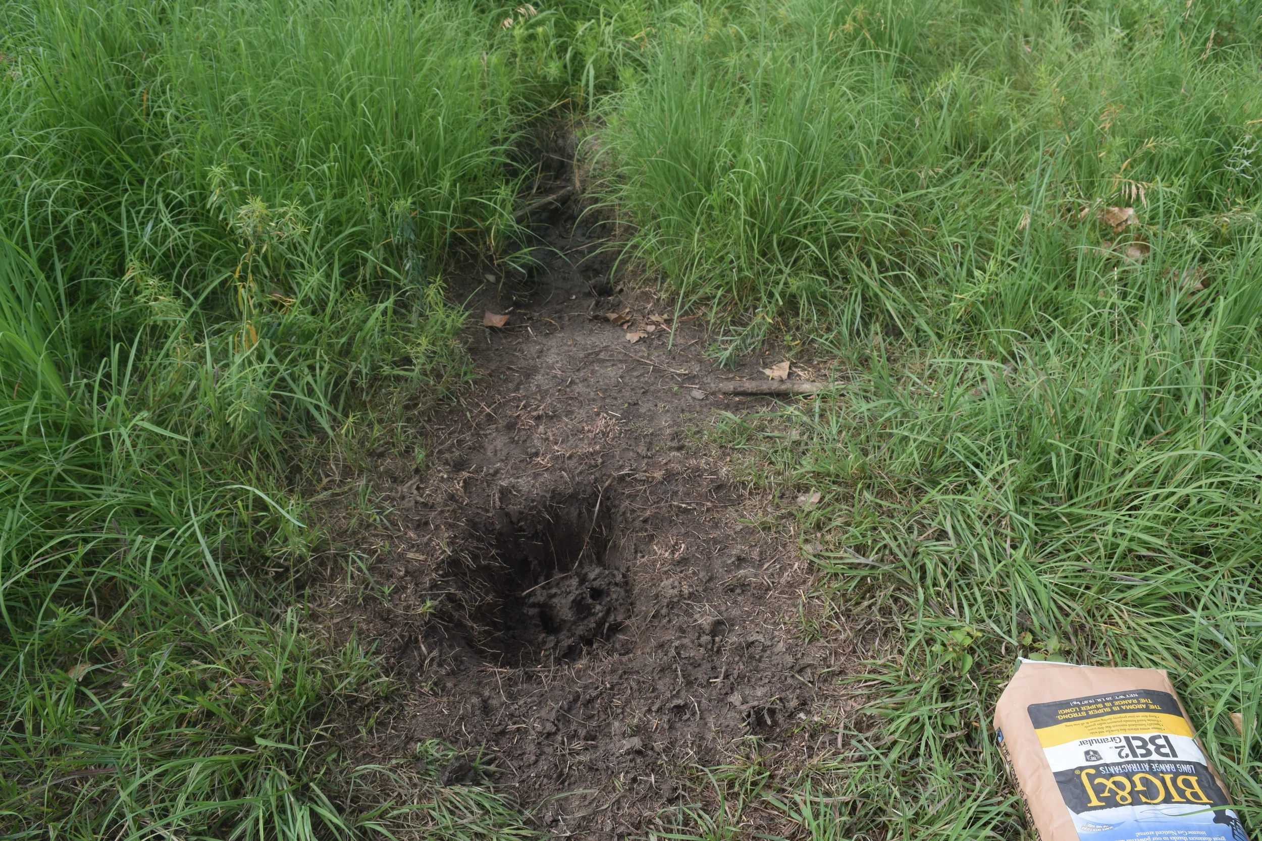 Not only did my trail camera malfunction, but the deer obliterated my trophy rock in a matter of months, and I have no pictures to show for it. 