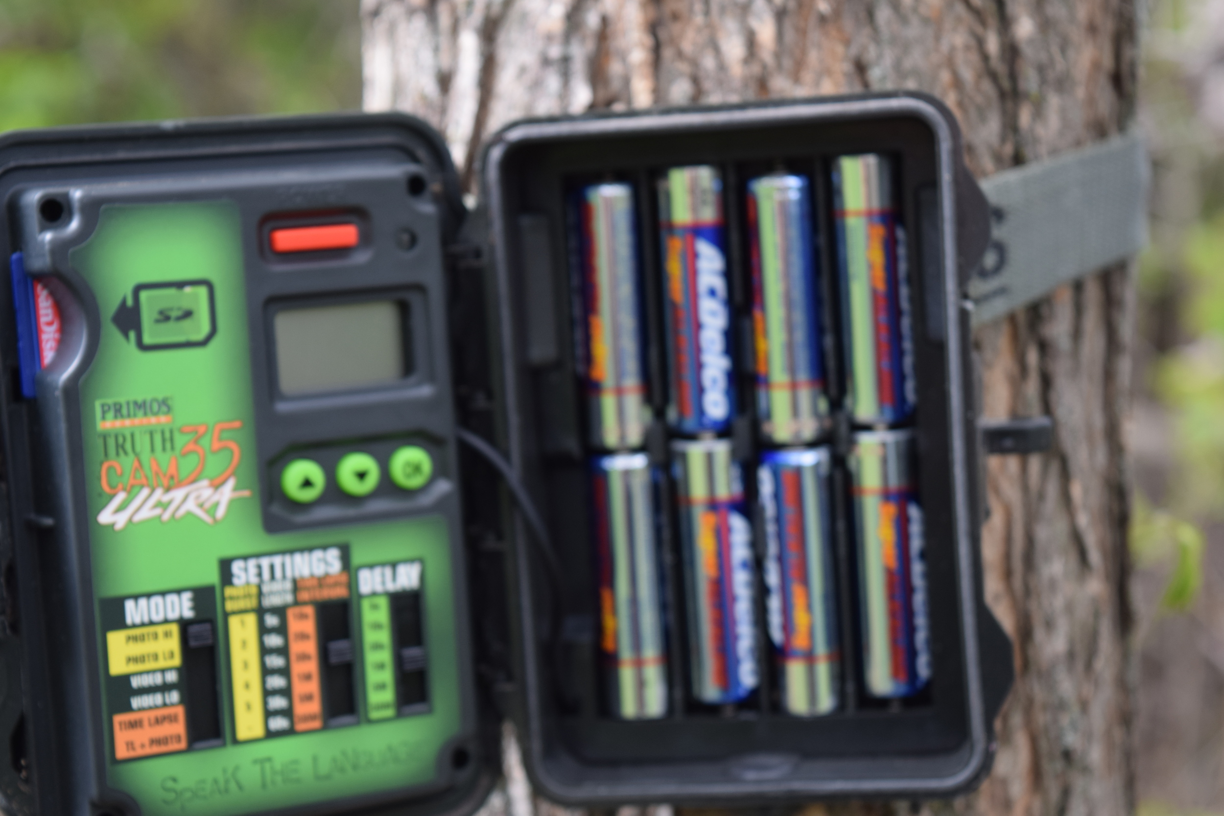The Perfect Trail Camera Setup