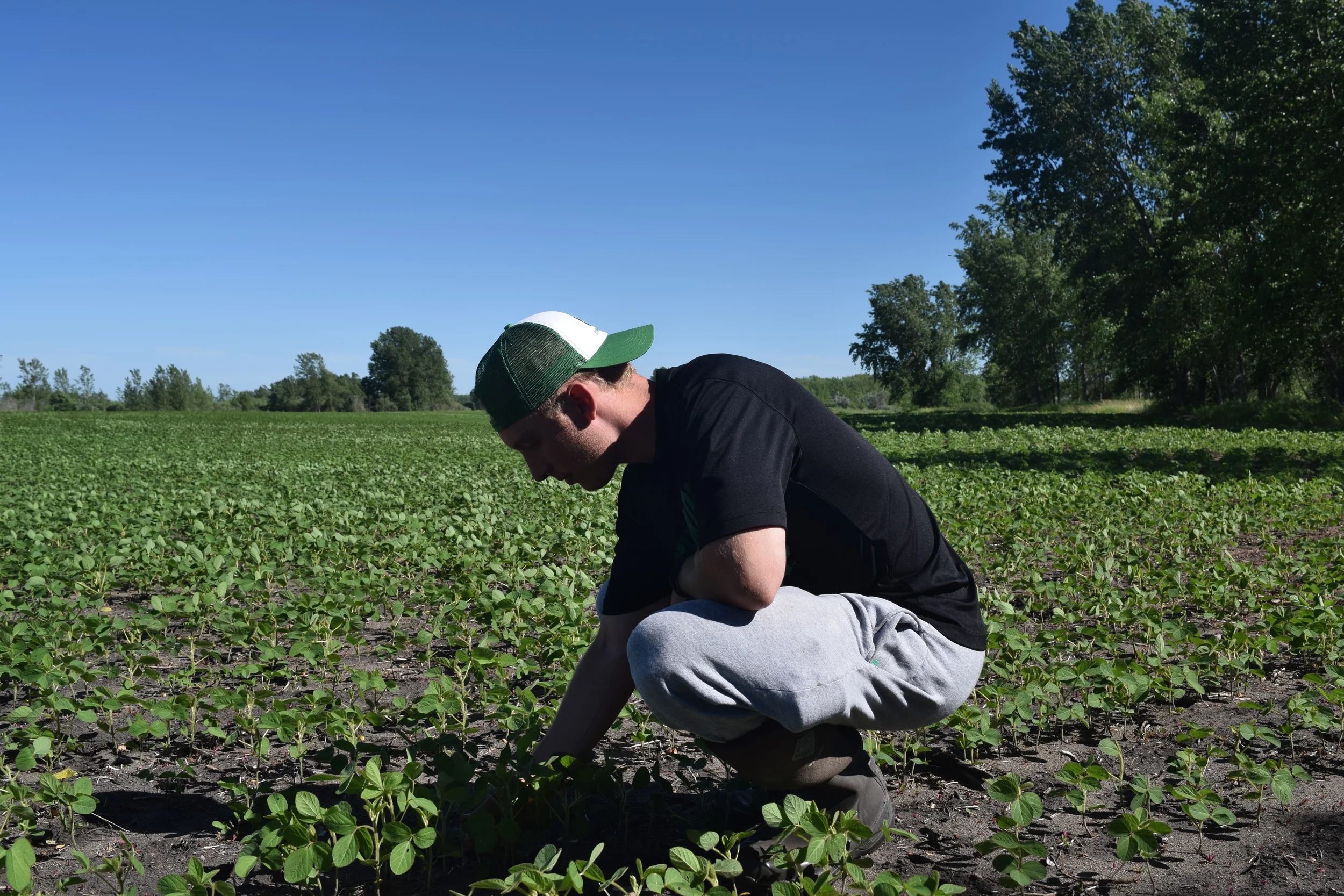 The 5 Best Mature Buck States to DIY Hunt in September