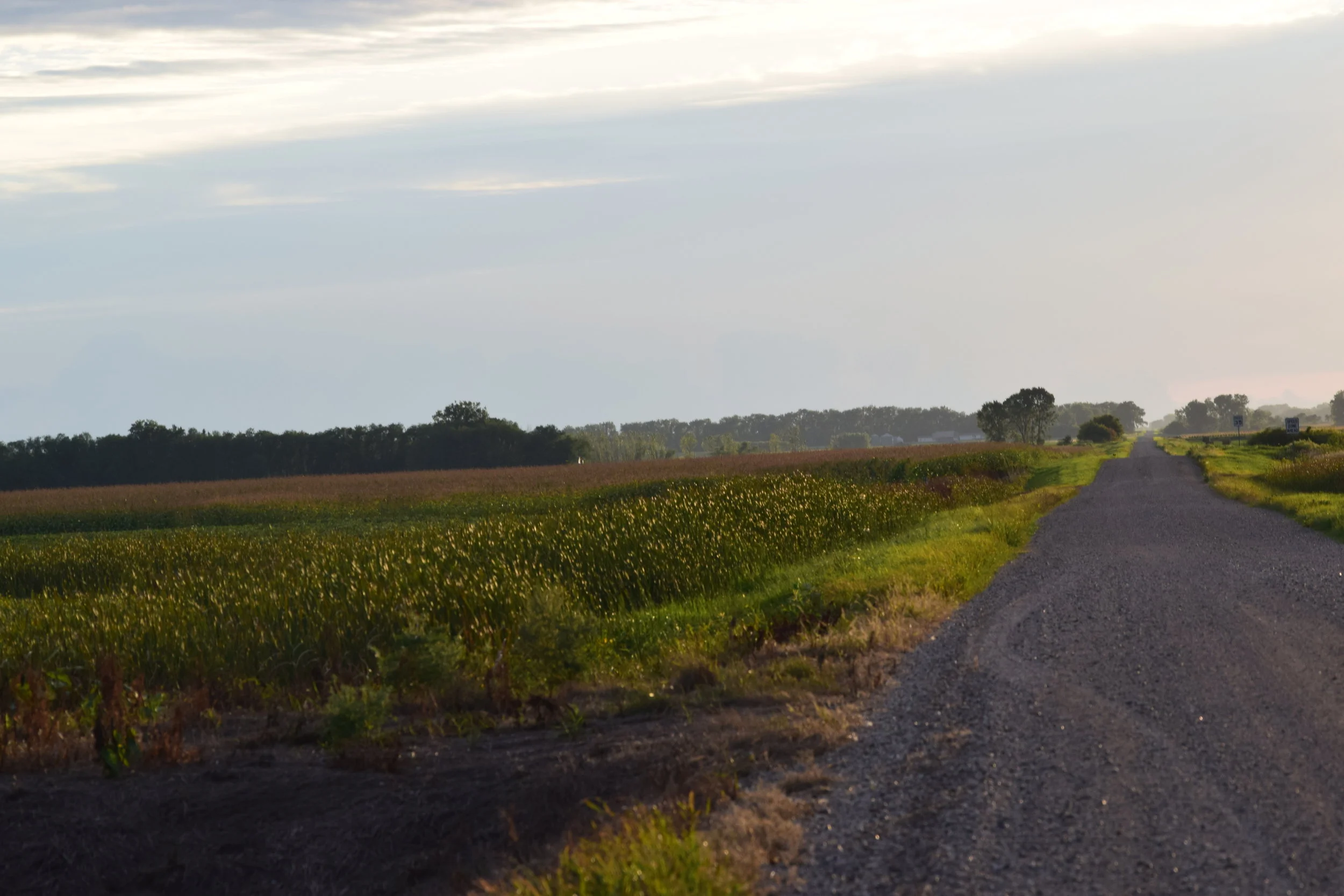 Tips for Hot Weather Hunting  