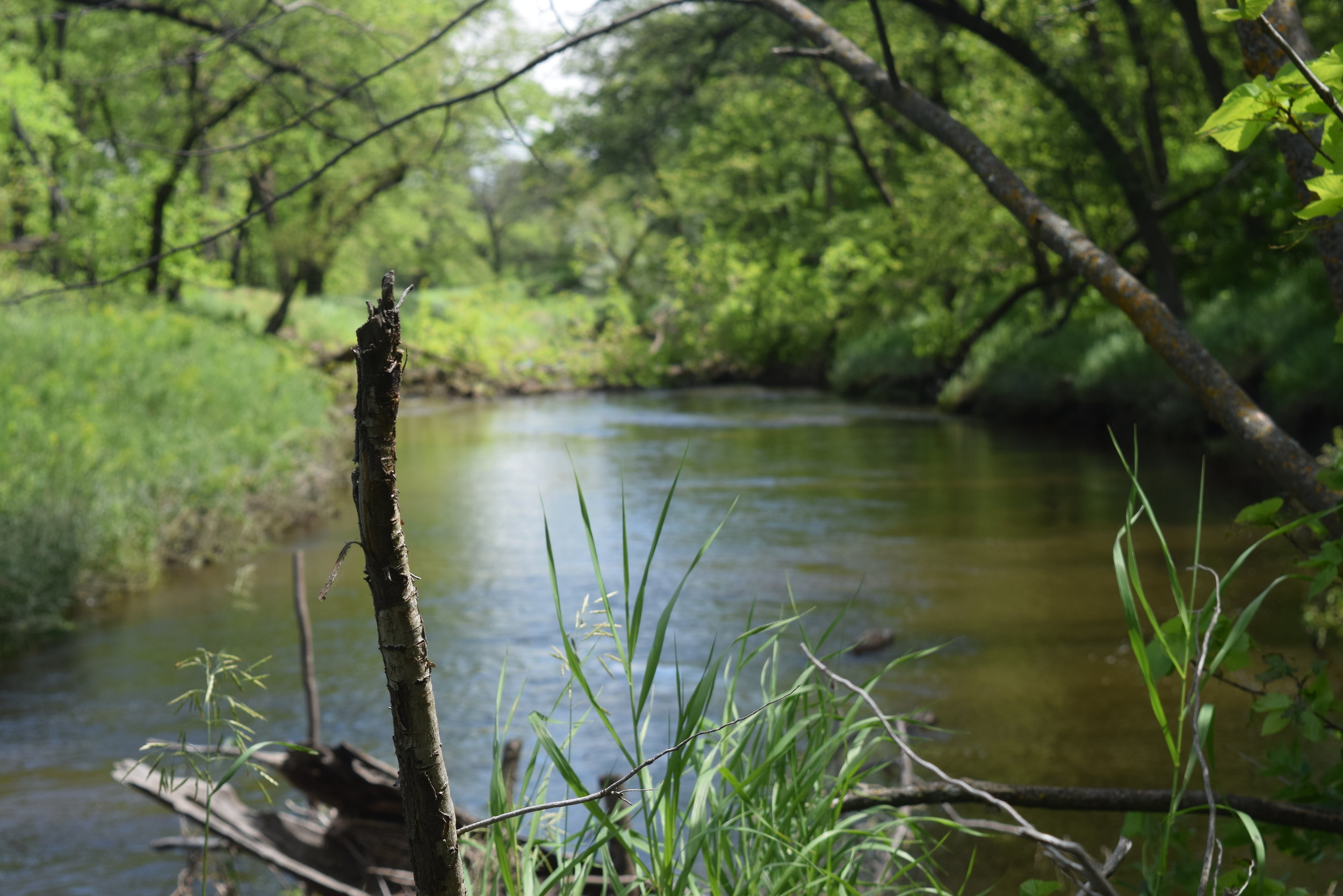 Small secluded creeks like this one are some of my favorite early season setups. 