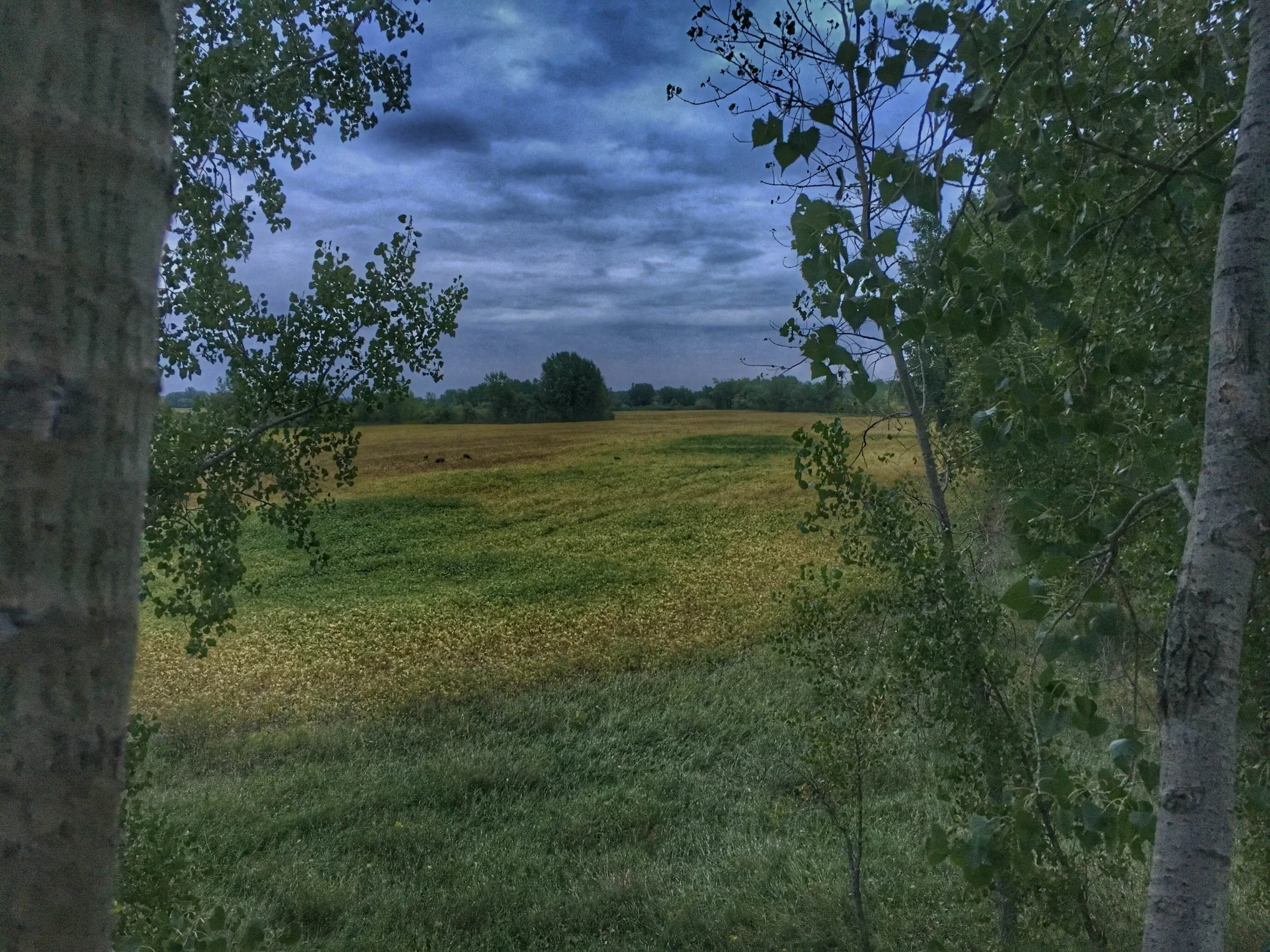 4 Factors That Lead to a Perfect Early Season Setup 