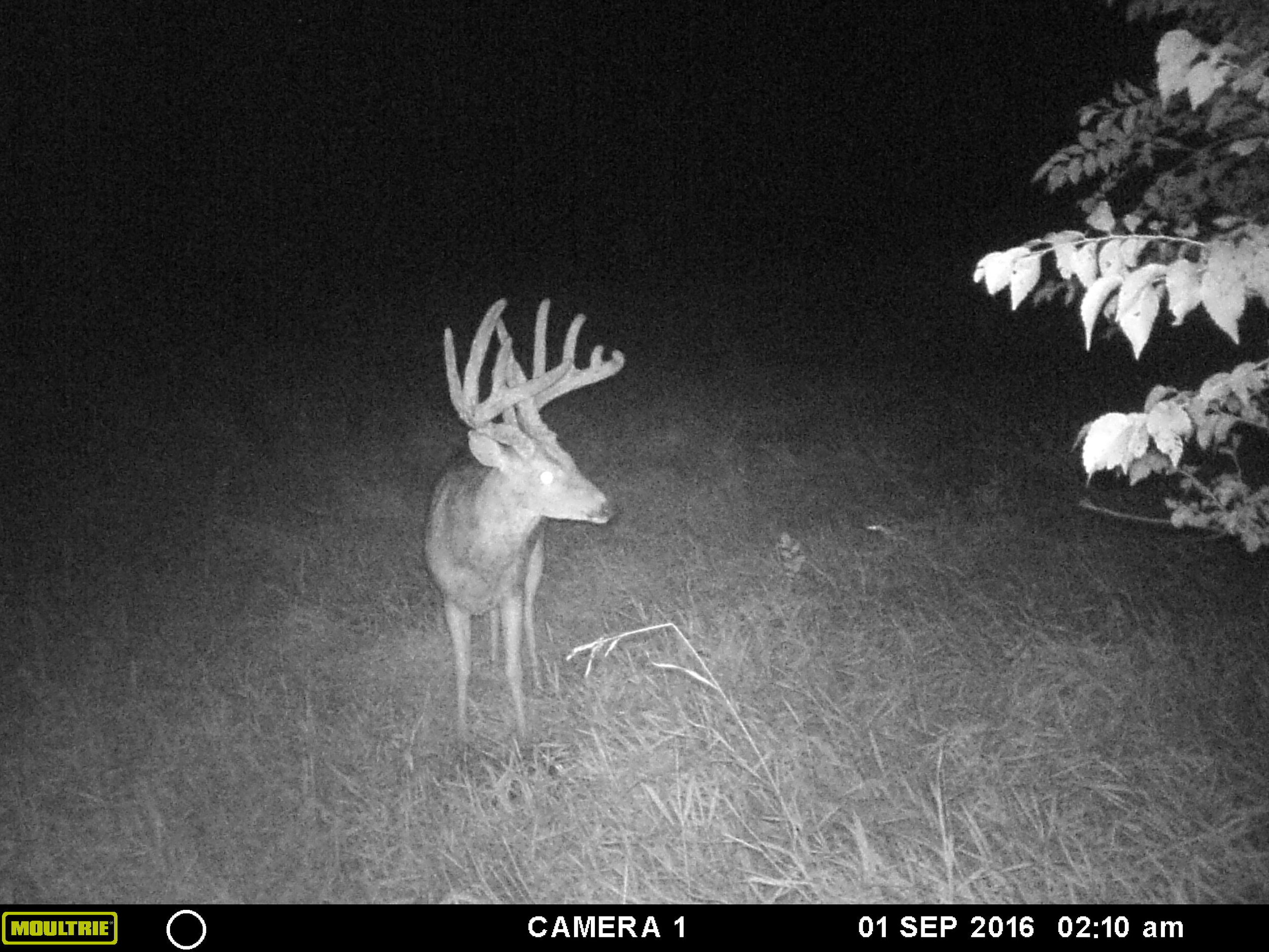 The Danger of Chasing a Ghost 