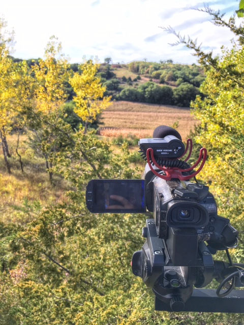 This stand is in a small piece of timber, overlooking a giant corn field. Once picked, this will be a money observation stand. 