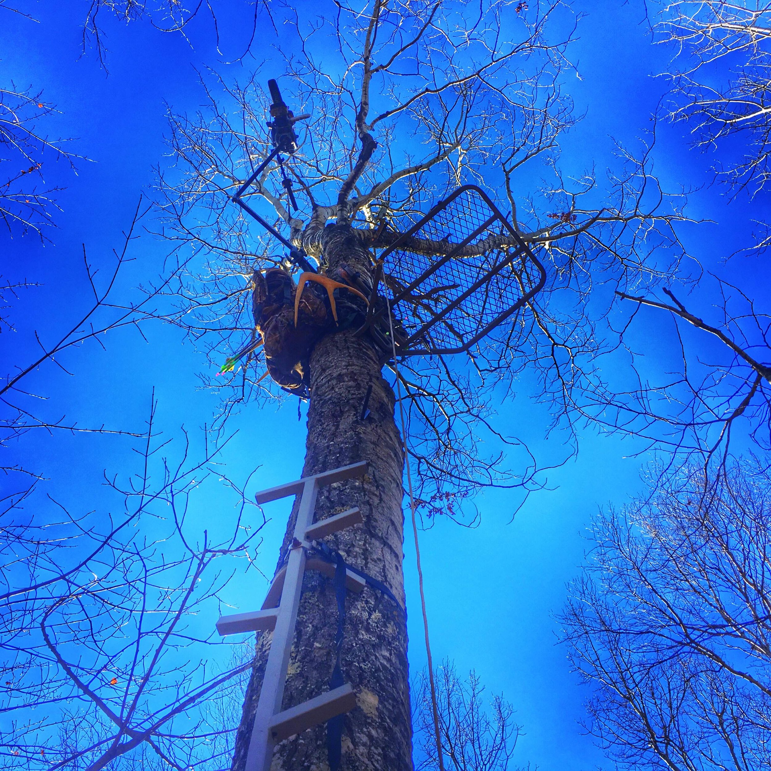 5 Factors for a Successful All Day Sit