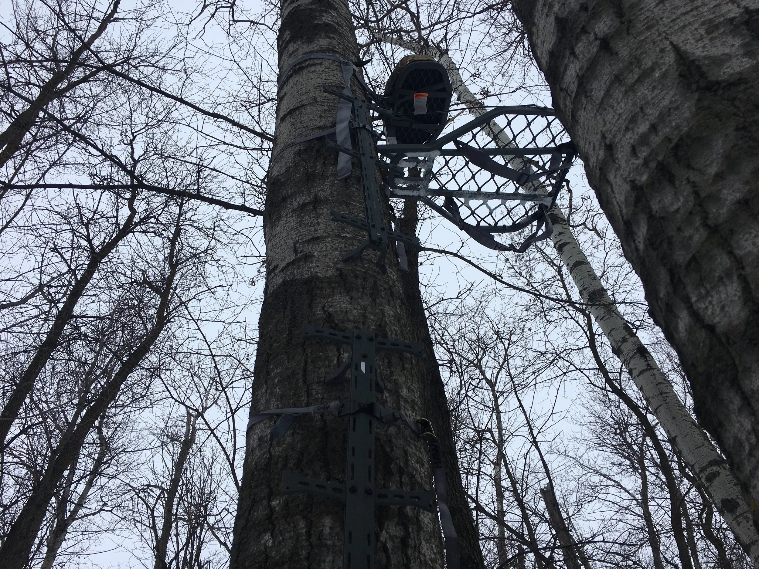 Gear Review: Hawk Helium Hang on Stand and Climbing Sticks 