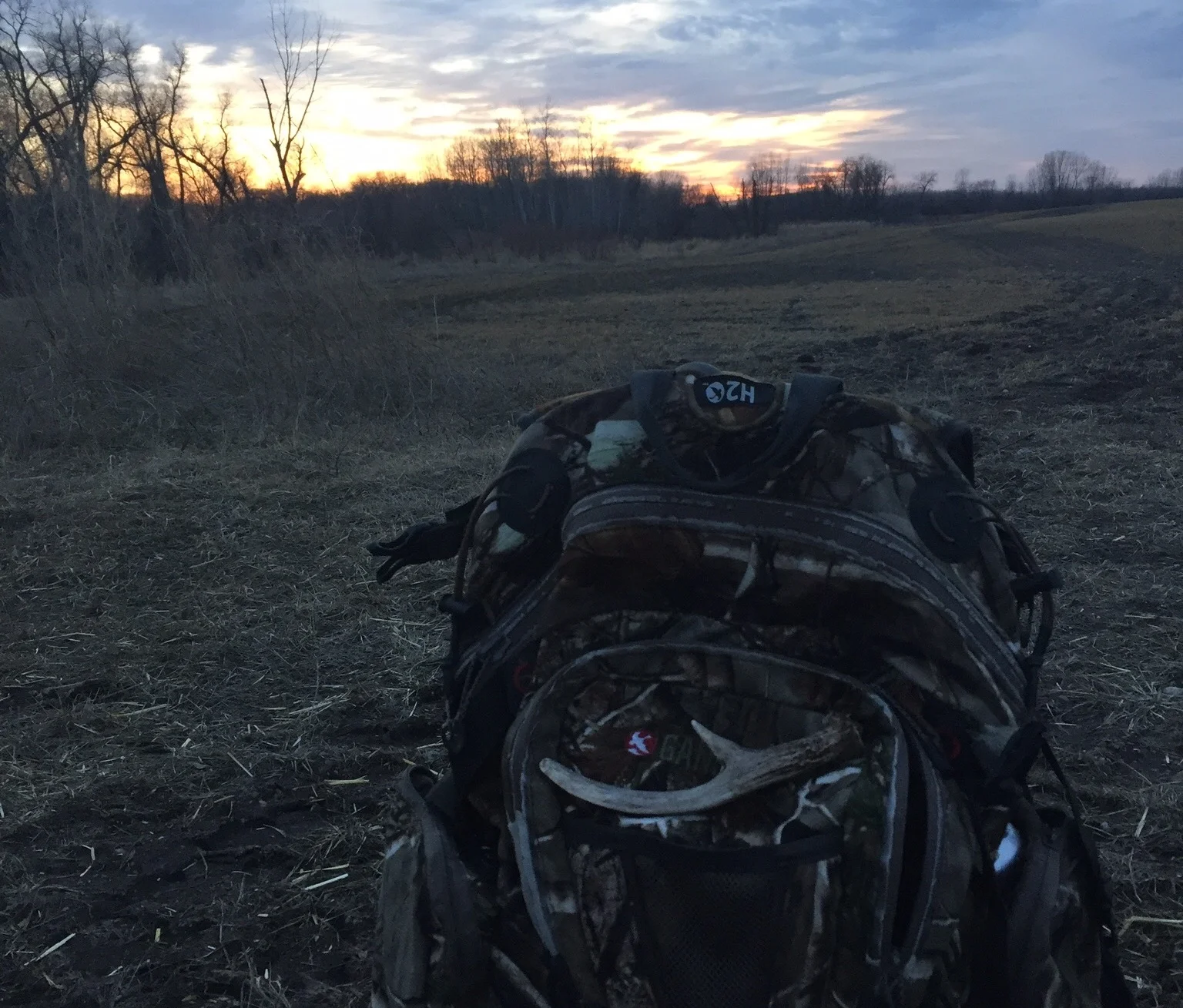 3 Things To Ask Yourself Before You Start Shed Hunting 