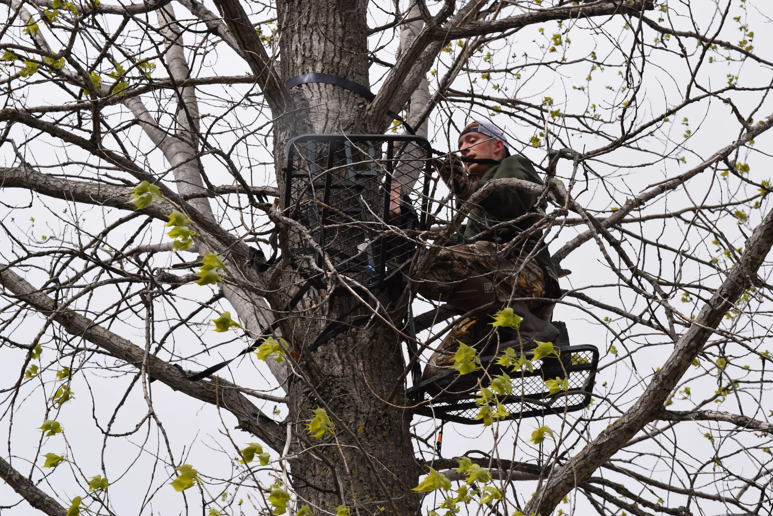 Tip Of The Week | Check Your Treestand Straps