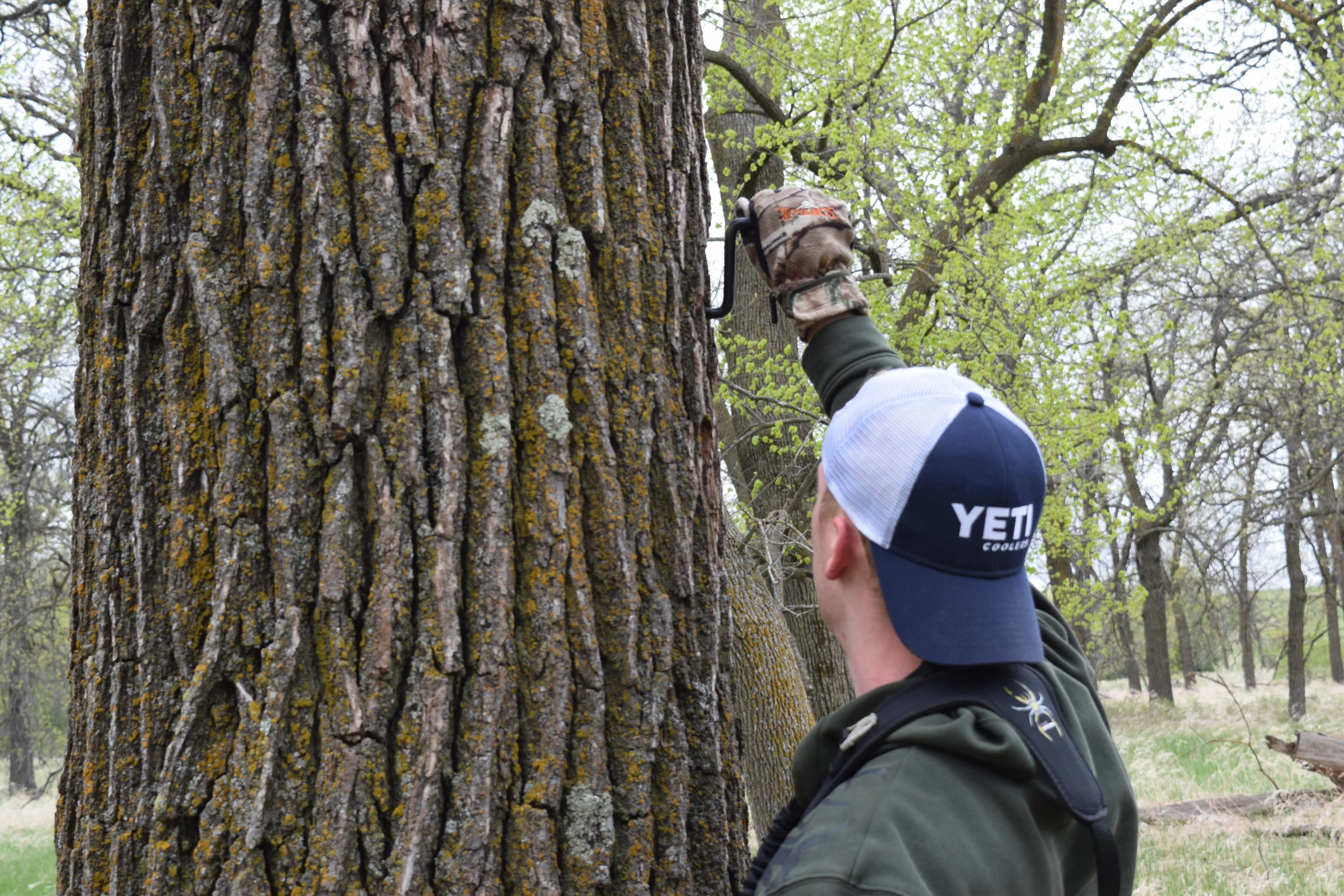Screw in Steps vs. Climbing Sticks - What Works For You?