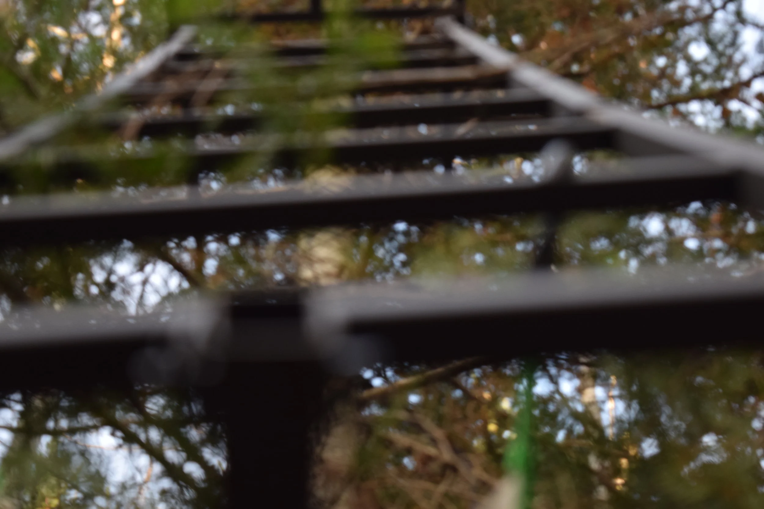 Don't Let Social Media Fool You - You're Not The Only One Who Hasn't Shot a Big Buck 