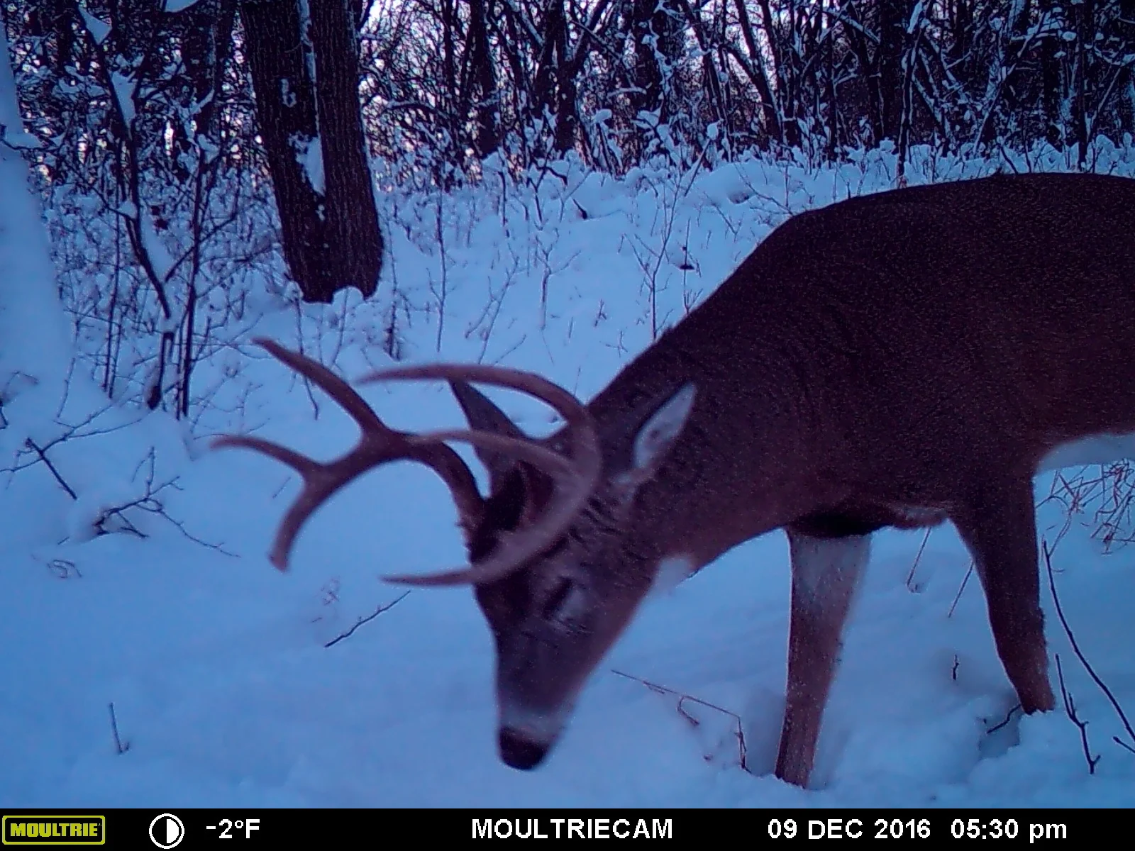 5 Reasons You Should Still Be Hunting 