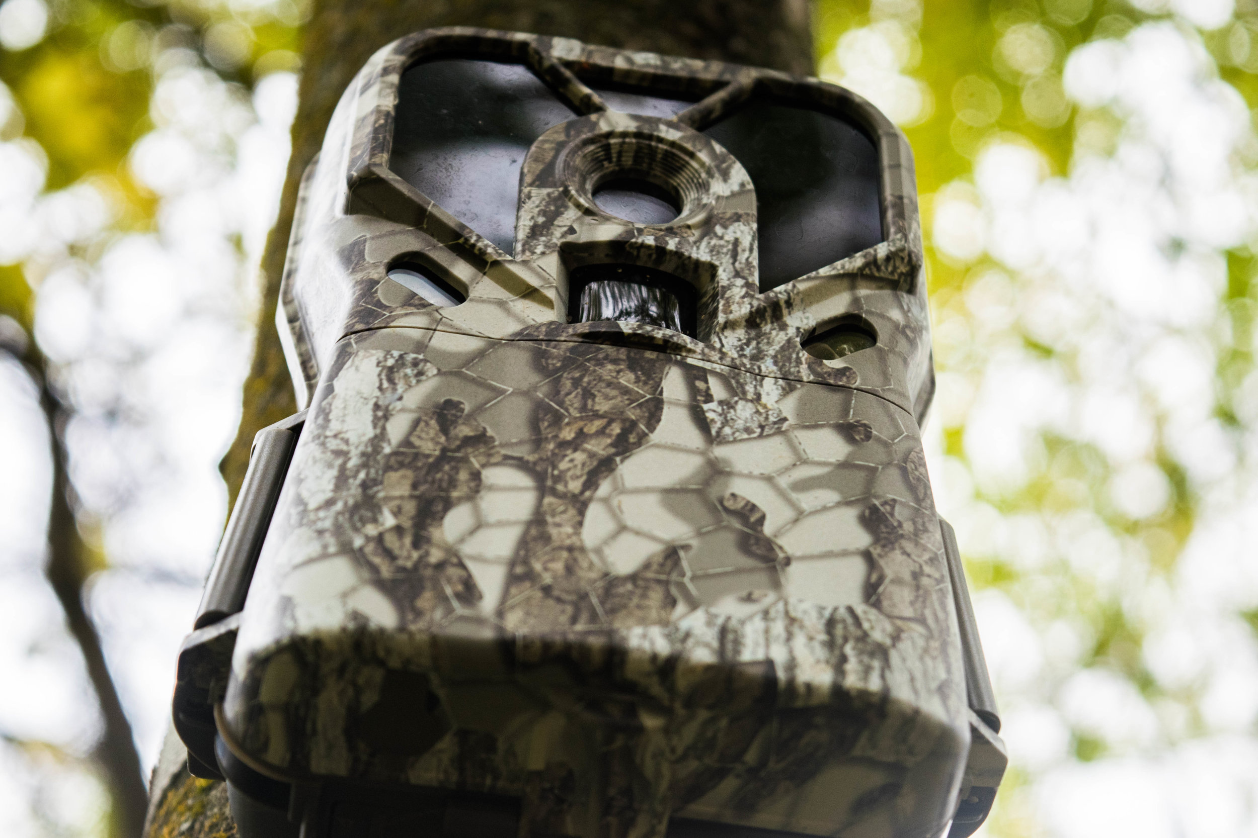 Gear Review: Exodus Lift II Trail Camera 