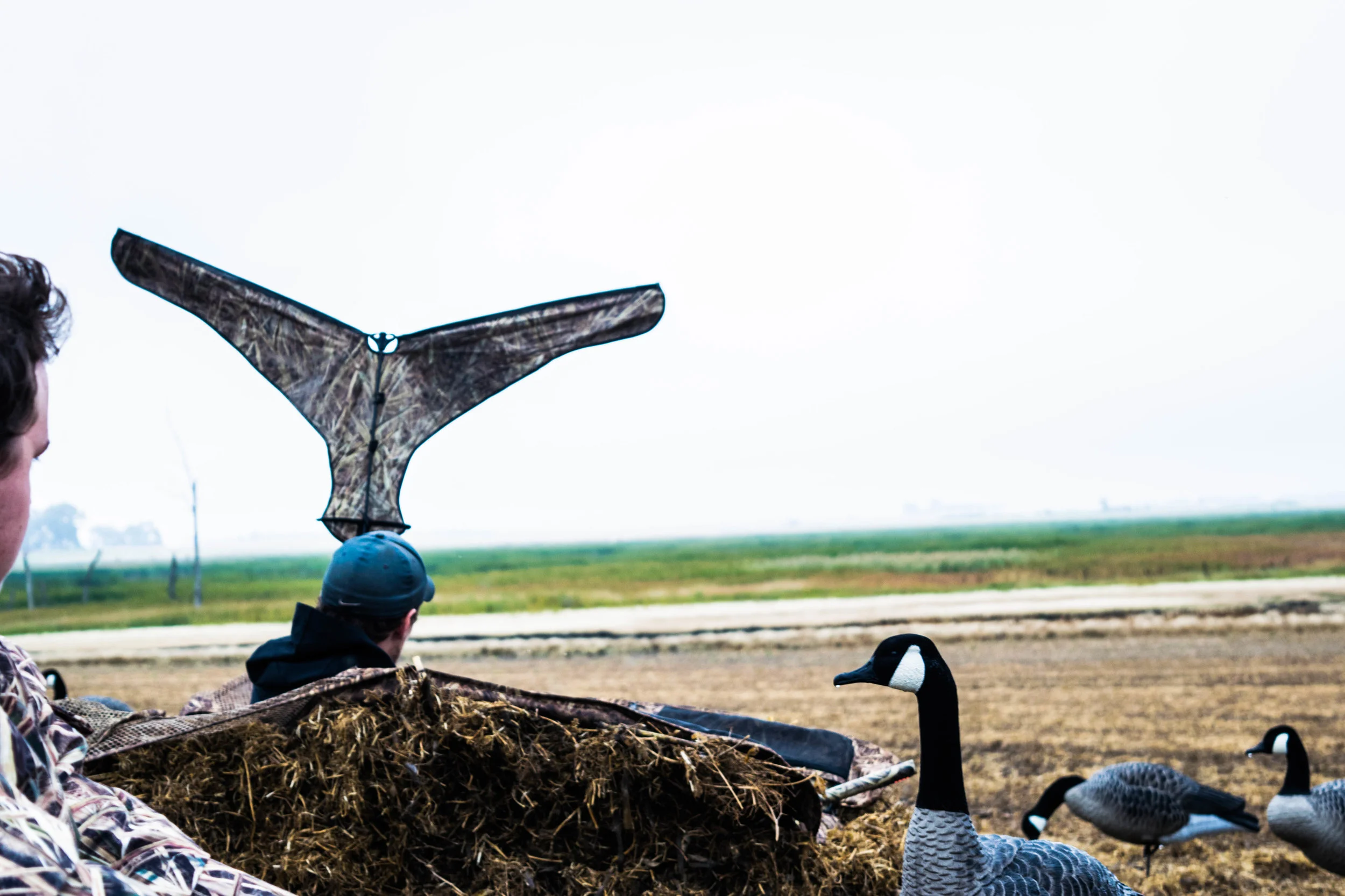 Went on my first ever early season goose hunt in August.&nbsp;