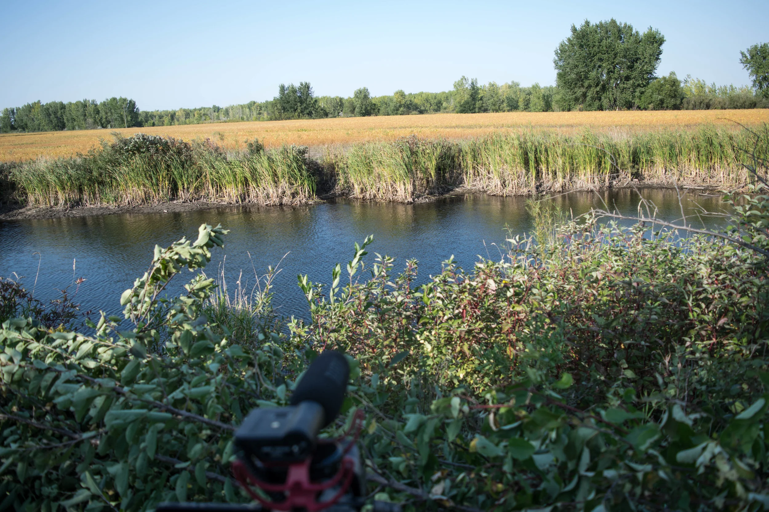 Whitetail season started off with a couple epic hunts over this water hole in September.&nbsp;