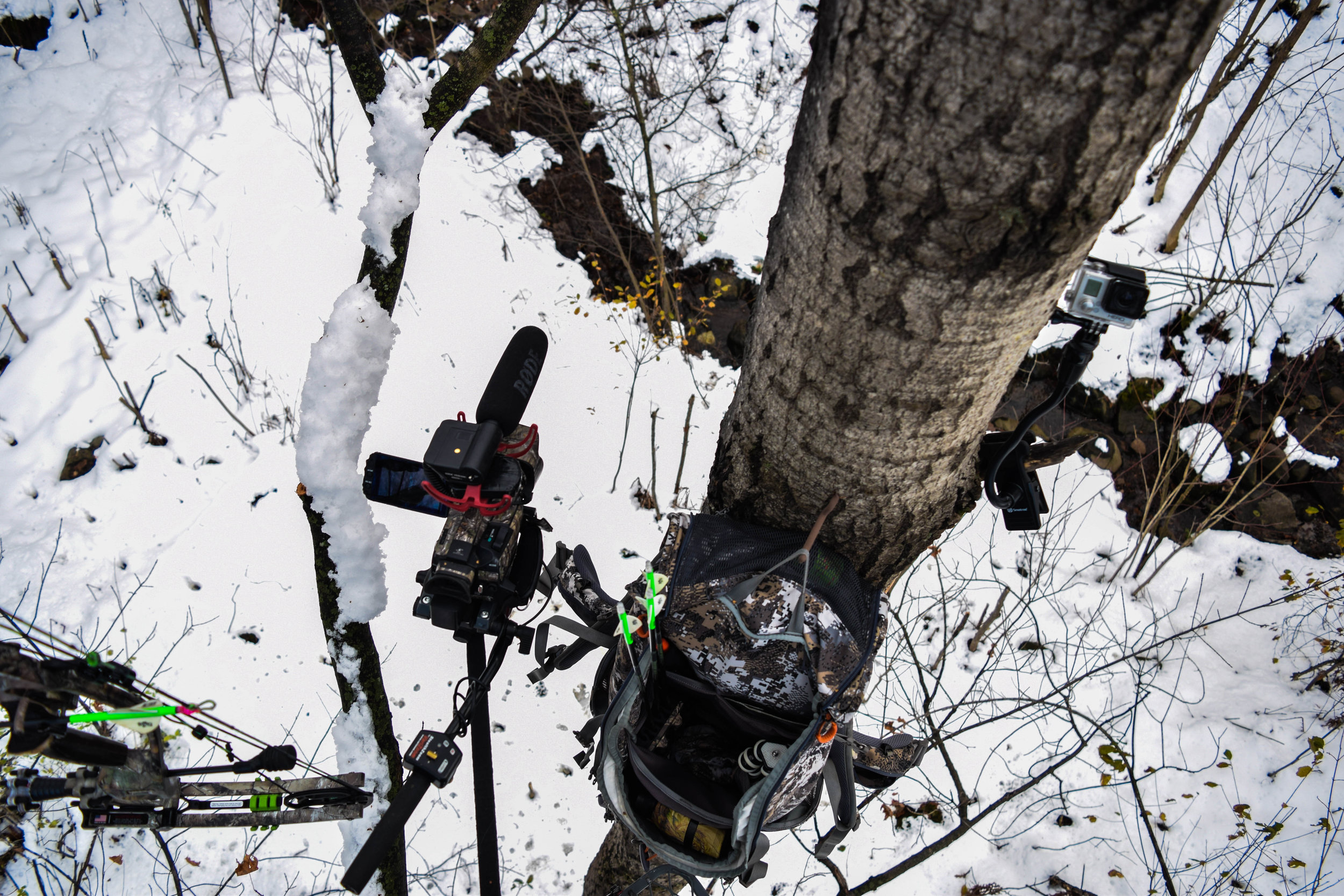 A standard view during the month of November.&nbsp;