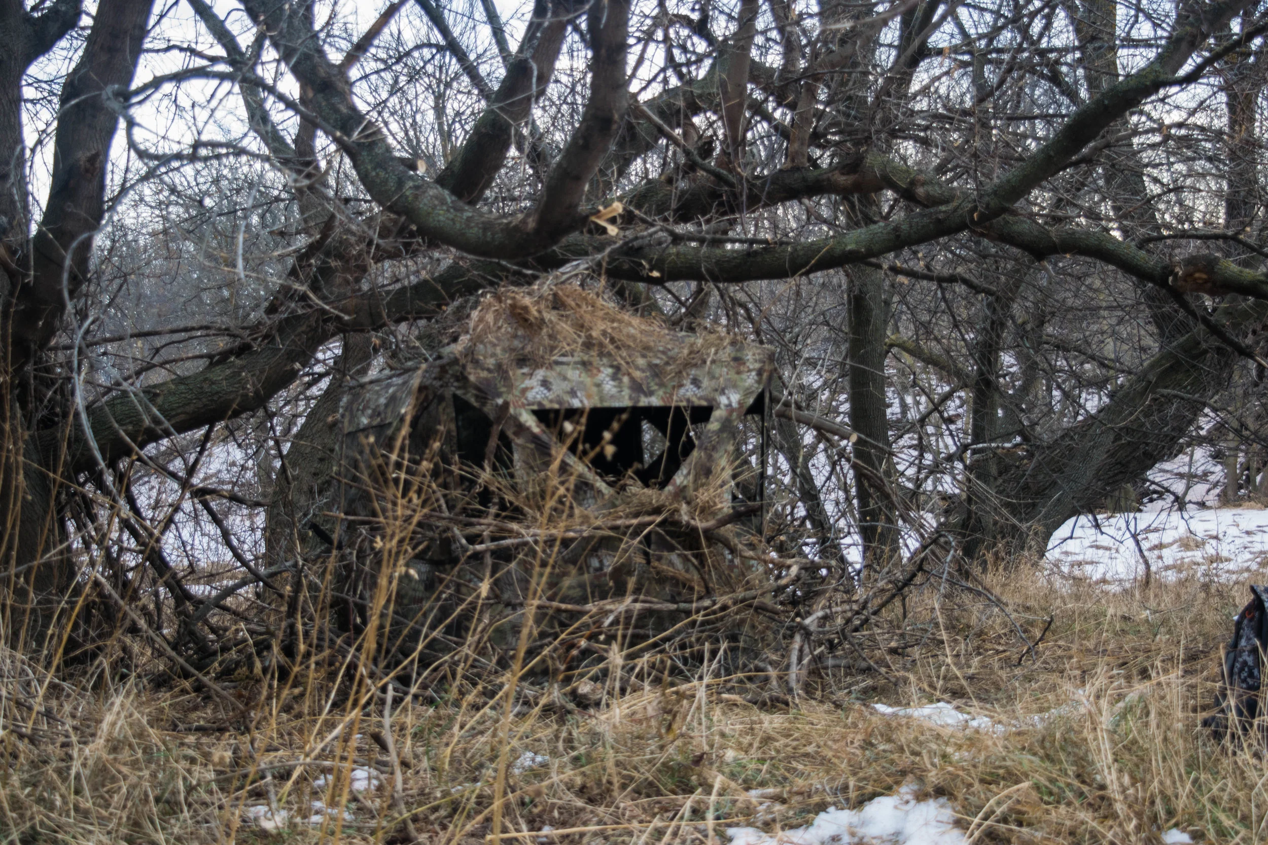 Setting up a late season blind in North Dakota.&nbsp;