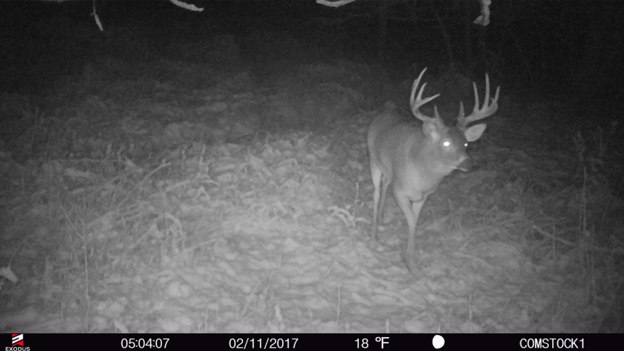 Gear Review Exodus Lift II Trail Camera WhitetailDNA
